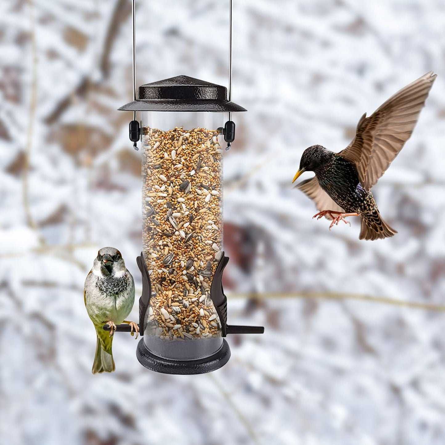 MIXXIDEA Wild Bird Feeders for Outdoors Hanging 2 Pack Stainless Steel