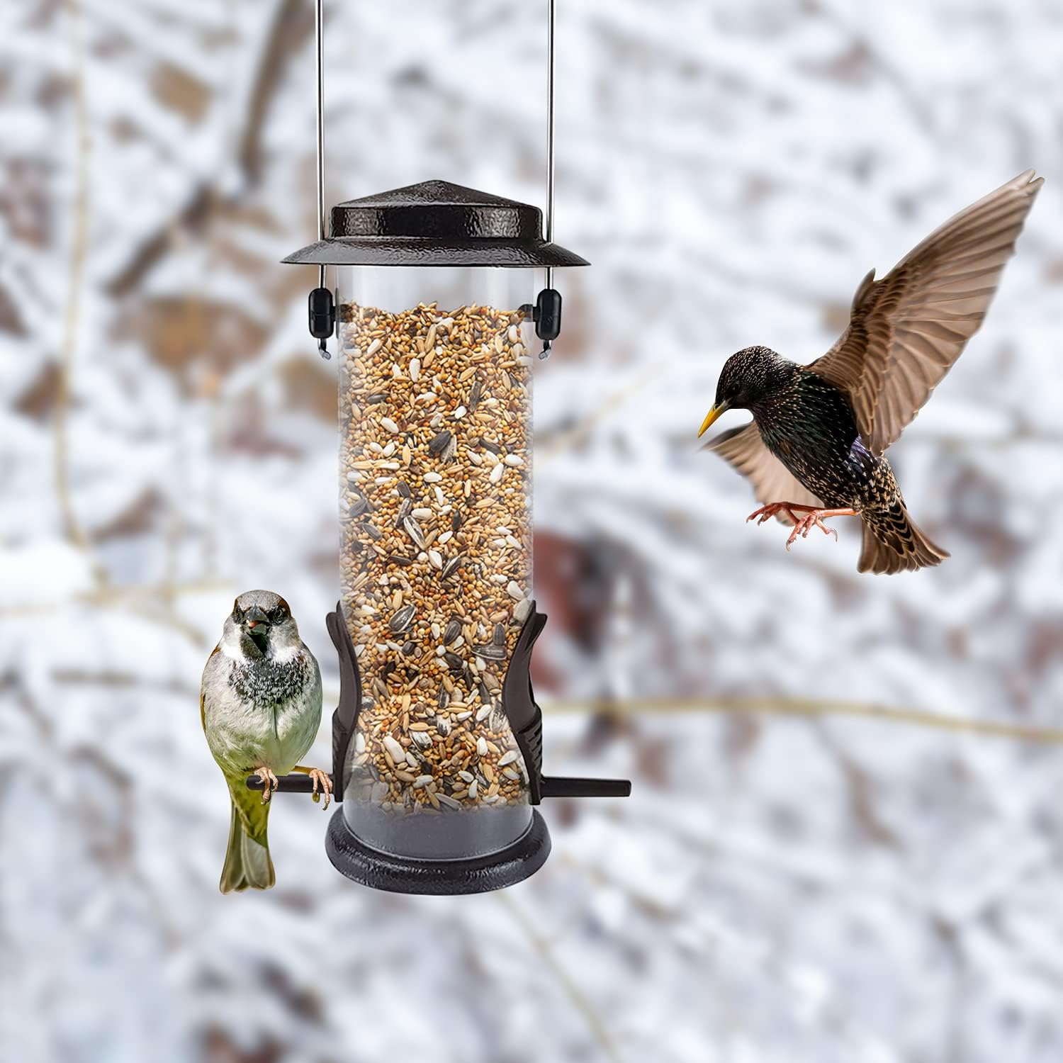 MIXXIDEA Wild Bird Feeders for Outdoors Hanging 2 Pack Stainless Steel