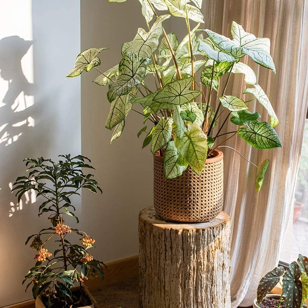 Planter Flowerpot Planter Pots Unique Plant Pots Concrete Imitation Rattan Planter Large Planters Outdoor Garden Decor 4.9" 6.3" 13" Tall(26x26x23.5cm)
