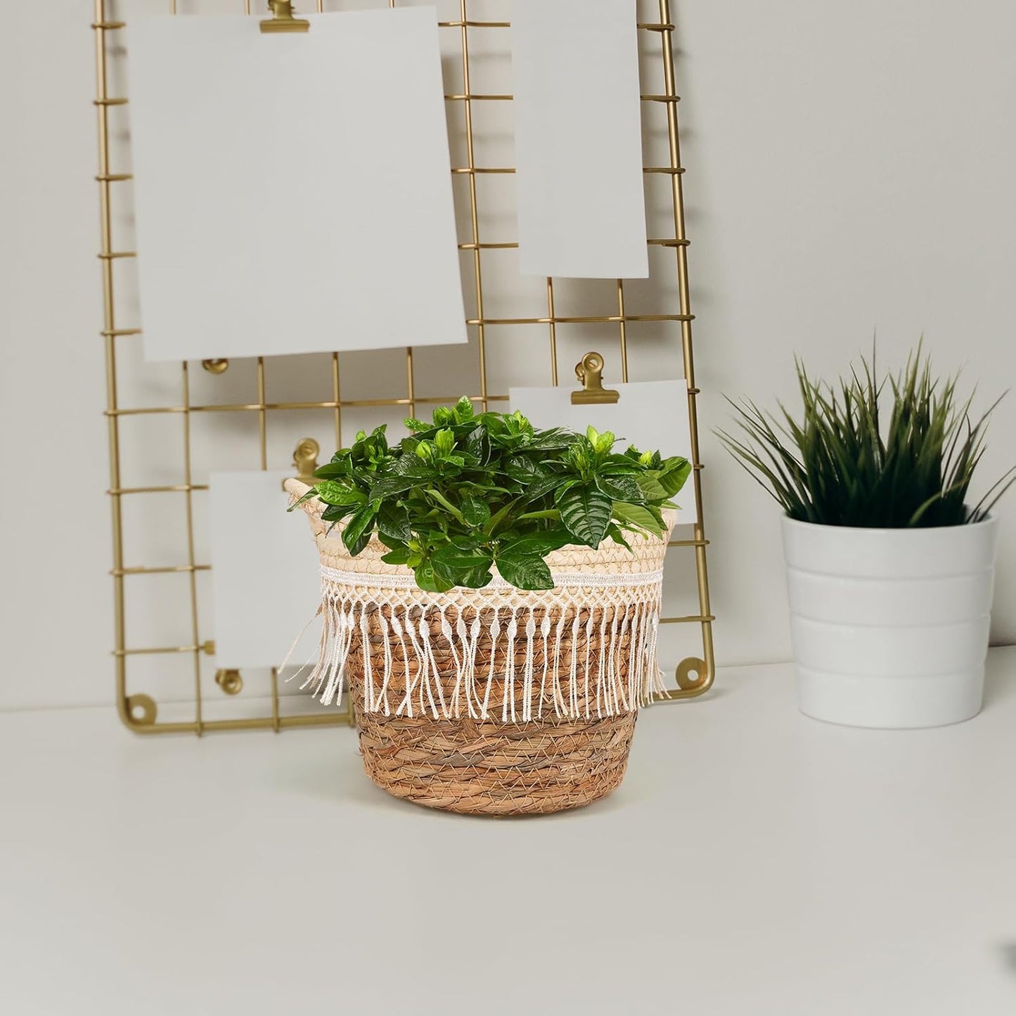 Alipis Woven Planter Basket with Built-in Liner Straw Rope Plant Container Holder for Indoor and Outdoor Use Boho Plant Basket for Home Office Patio D Cor 8.26X7.48X6.69 Inch