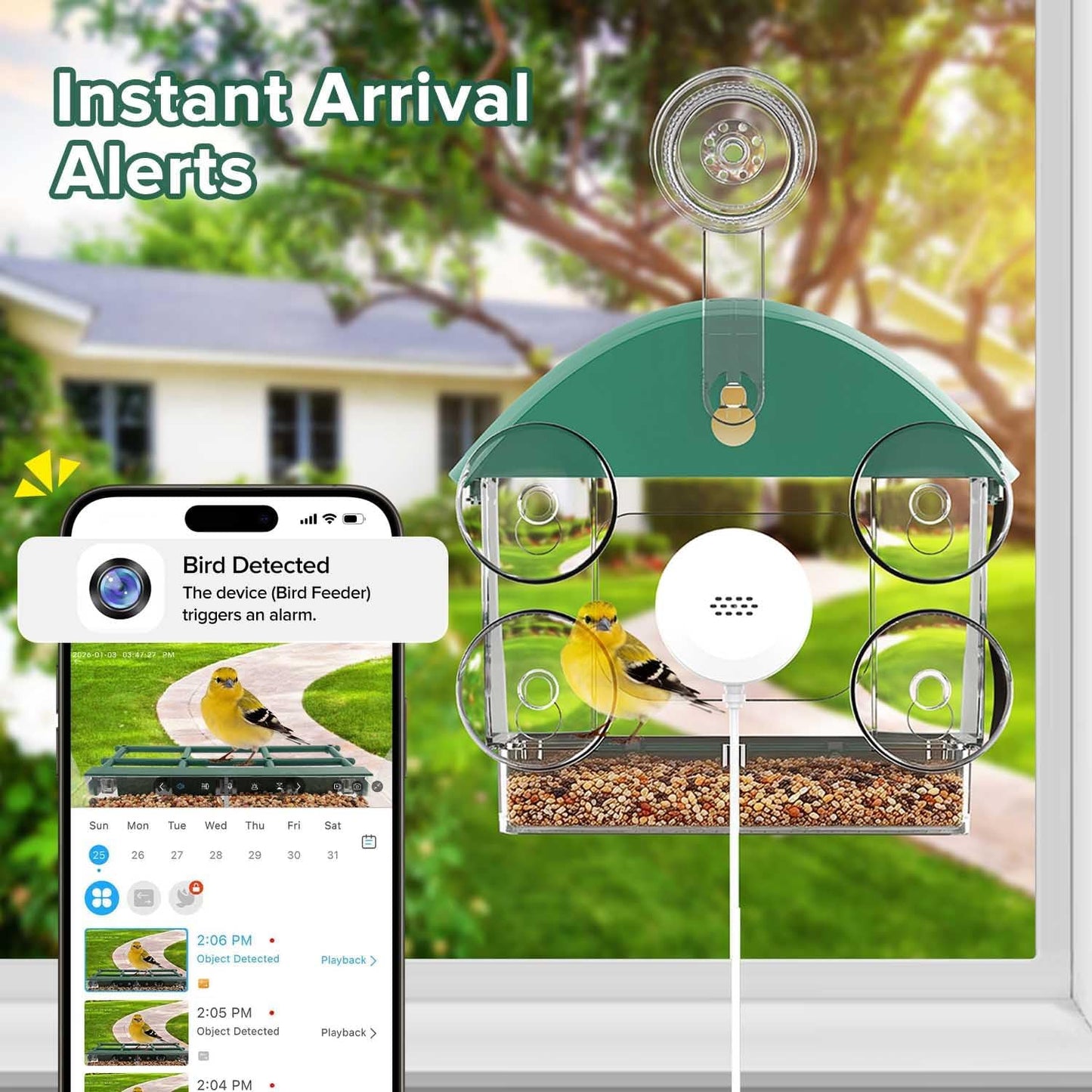 Window Bird Feeder with Camera,2K Live Video,AI Bird Identification,Instant Arrival Alerts,24/7 Recording,Support 2.4G/5G WiFi,SD Card&Cloud Storage,Featuring 5 Strong Suction Cups.