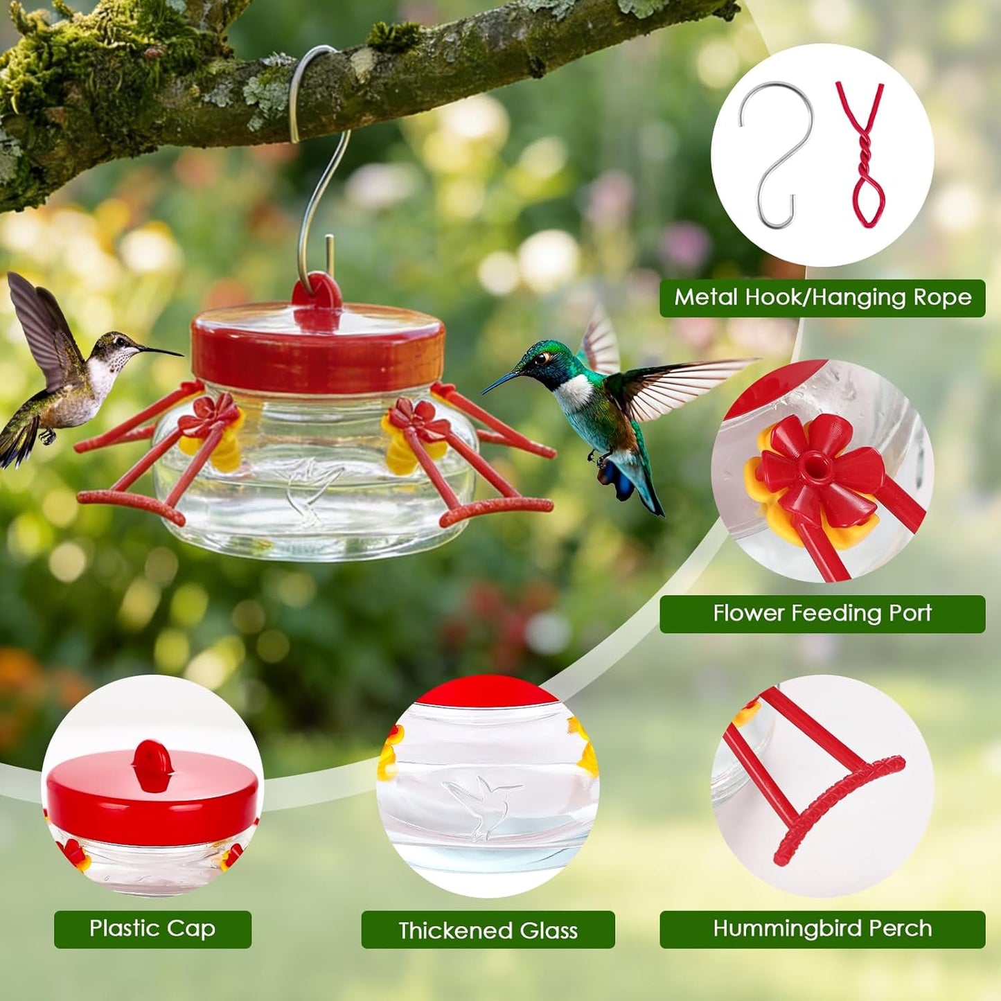 6 OZ Glass Hummingbird Feeders for Outdoors Hanging 2 Pack,Mason Jar Hummingbird Feeder with 4 Flower Feeding Ports and Perches,Easy to Clean and Refill,Decoration,Transparent