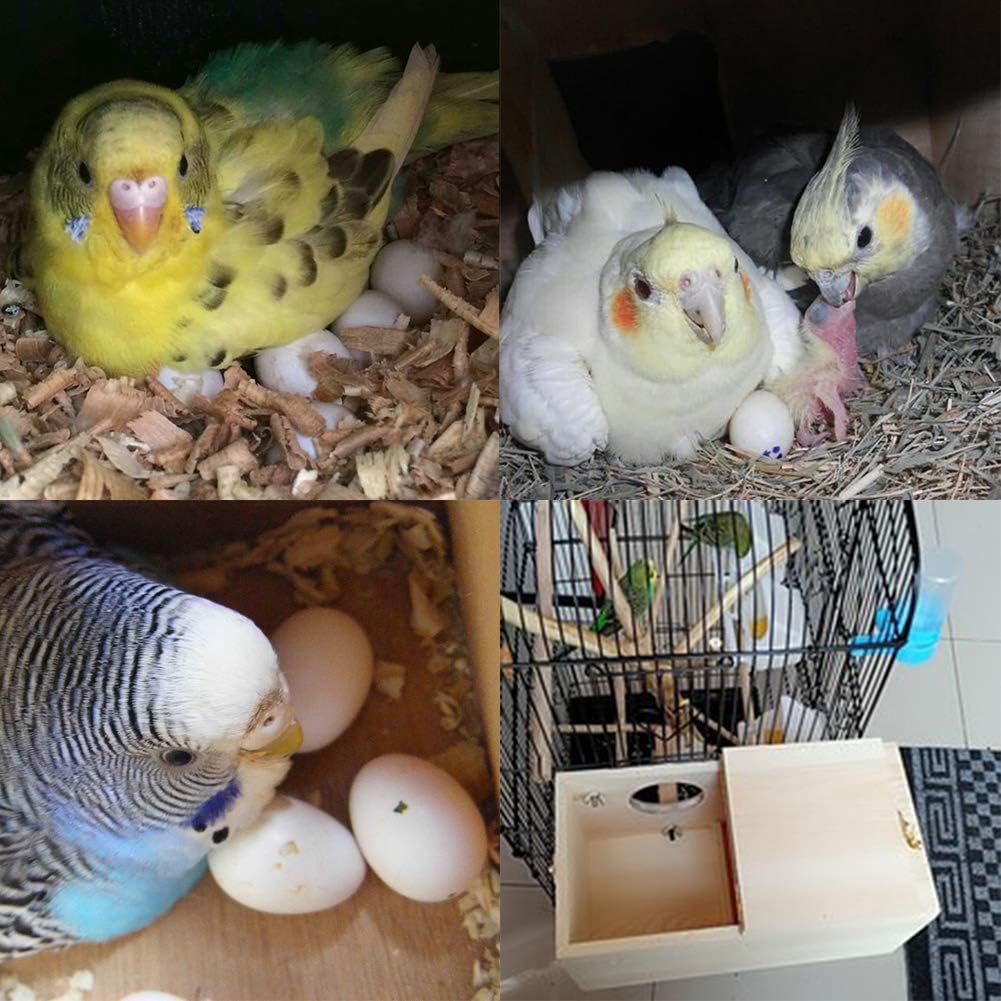 Pine Wood Parakeet Nest Box Bird House Budgie Breeding Mating Box for Lovebirds Cockatiel Parrotlets (S)