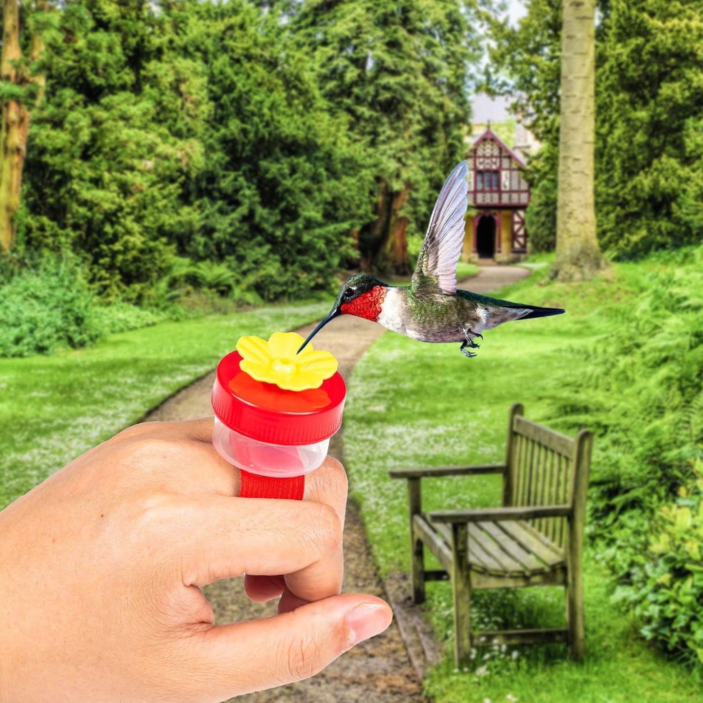 Hand Held Hummingbird Ring Feeders, 4Pcs Mini Hummingbird Hand Feeder with 4Pcs Cleaning Brush, Window Humming Wild Bird Feeders Tools for Outdoors Supplies