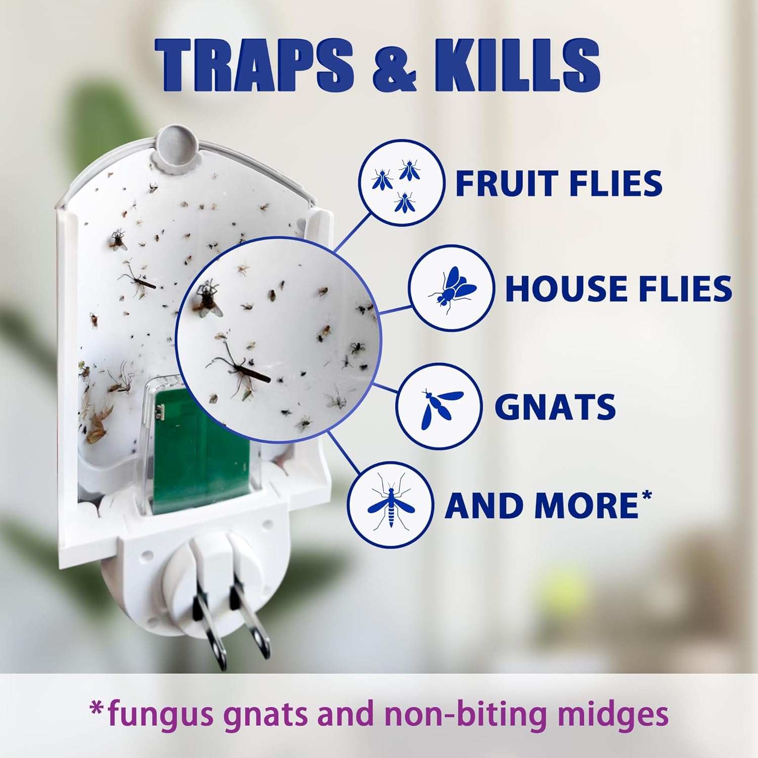 Flying Insect Trap (1 Stater & 3 Refill Cartridges), UV Light Indoor B