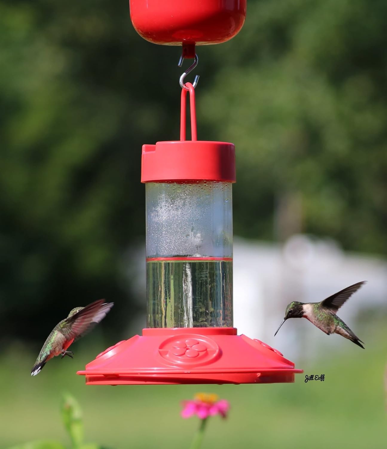 Songbird Essentials SE6002 Dr Jb's Clean Feeder, Red, 16-Ounce