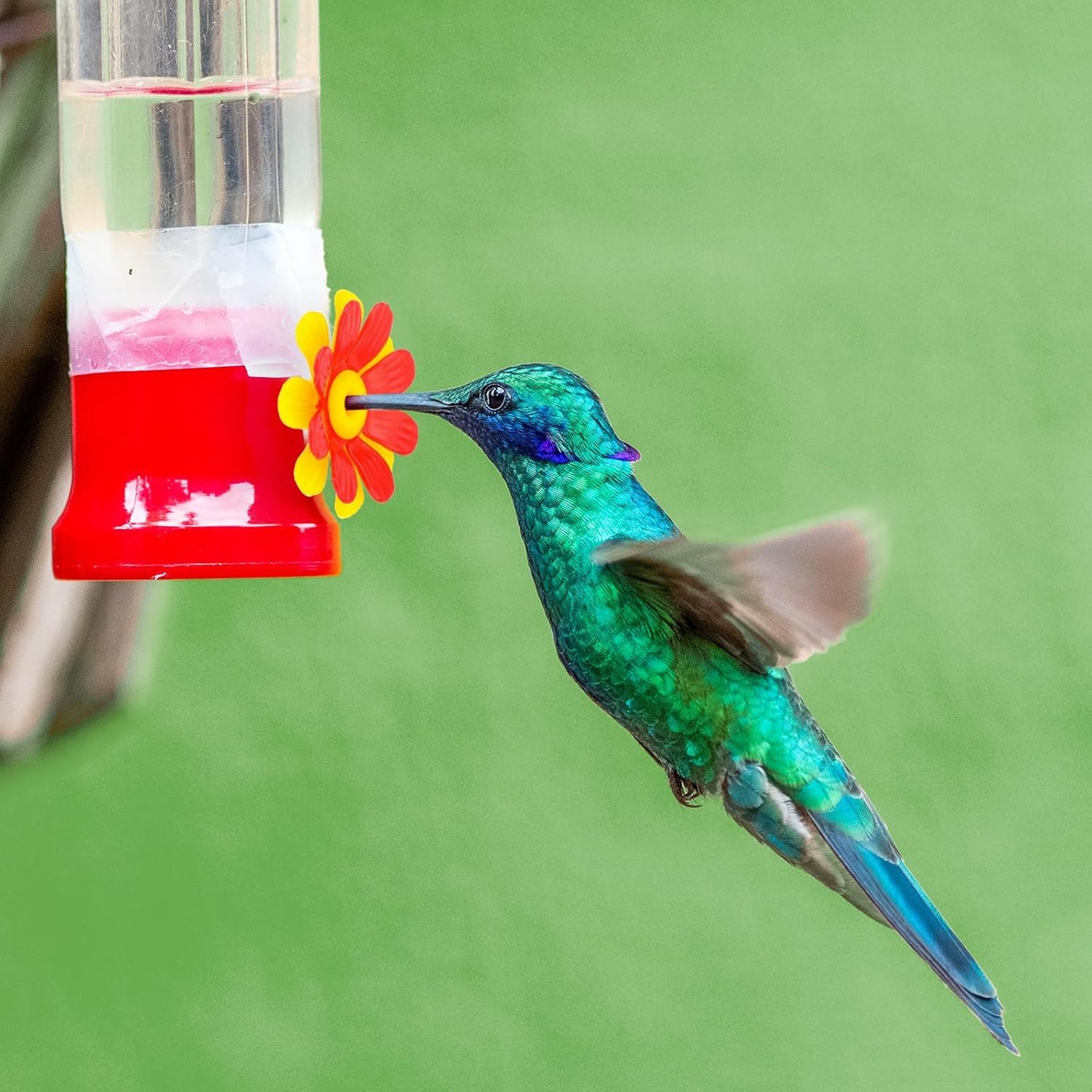 20pc Hummingbird Feeder Flowers & Cleaning Brushes - Hanging Hummingbi