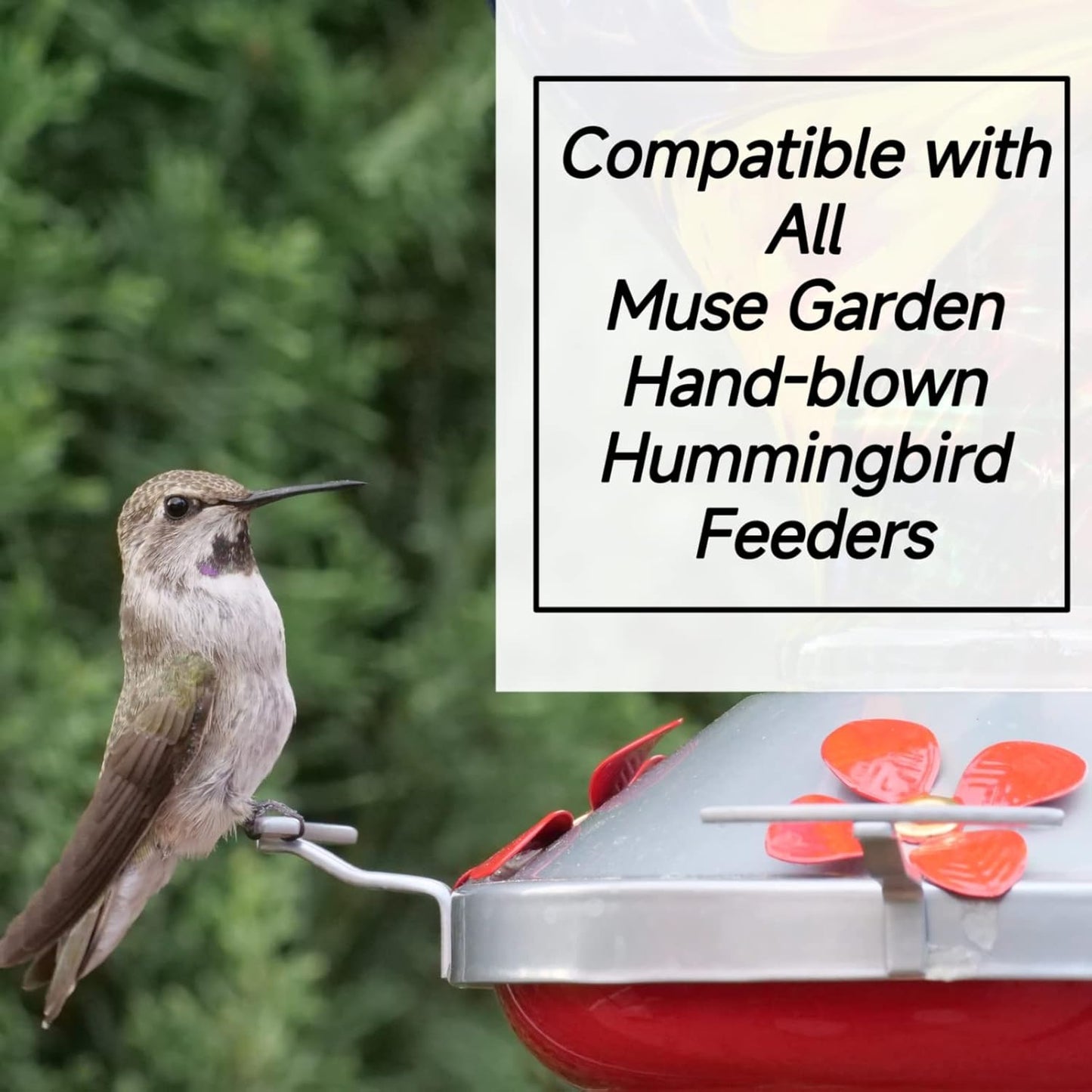 Muse Garden Original Hummingbird Feeder Replacement Metal Base, Exclusive for Muse Garden Hummingbird Feeders Only, No Rust, Safe for Hummingbirds, Thread Diameter 1.7 Inch