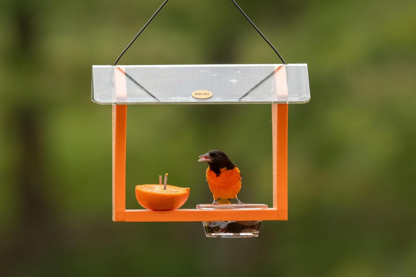 Birds Choice Oriole Bird Feeder | Hanging Bird Feeder for Jelly & Oran
