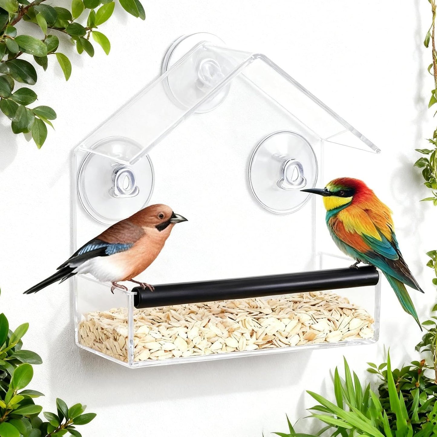 Window Bird Feeder - Acrylic Outdoor Bird Station, Suction Mount Garden Feeding, Sturdy Clear Design Easy View, Weather Resistant Feeding Hub, Premium Birds Watching Gear, Home Balcony Yard Use