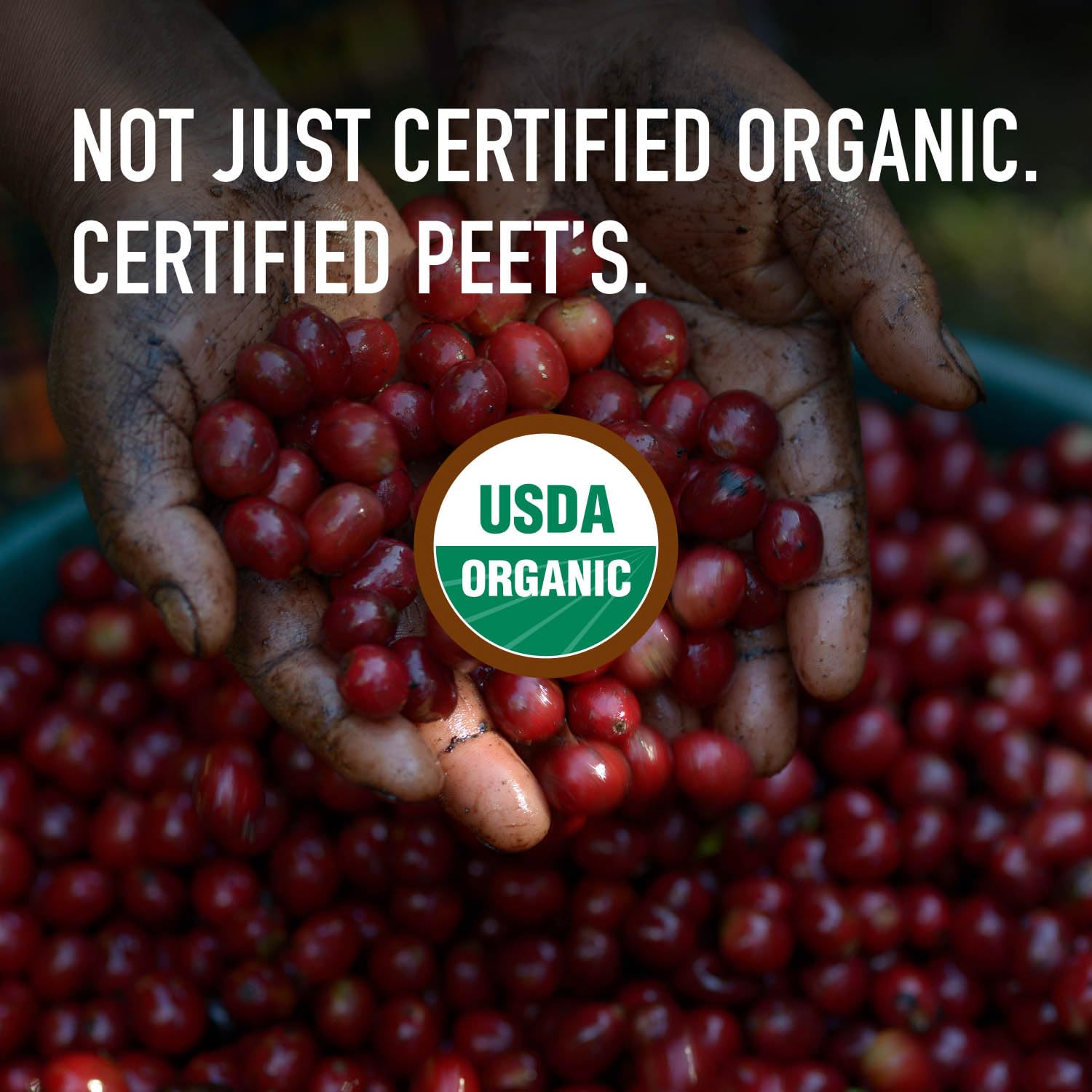 Peet's Coffee, USDA Organic Dark Roast Ground Coffee, 100% Arabica Cof