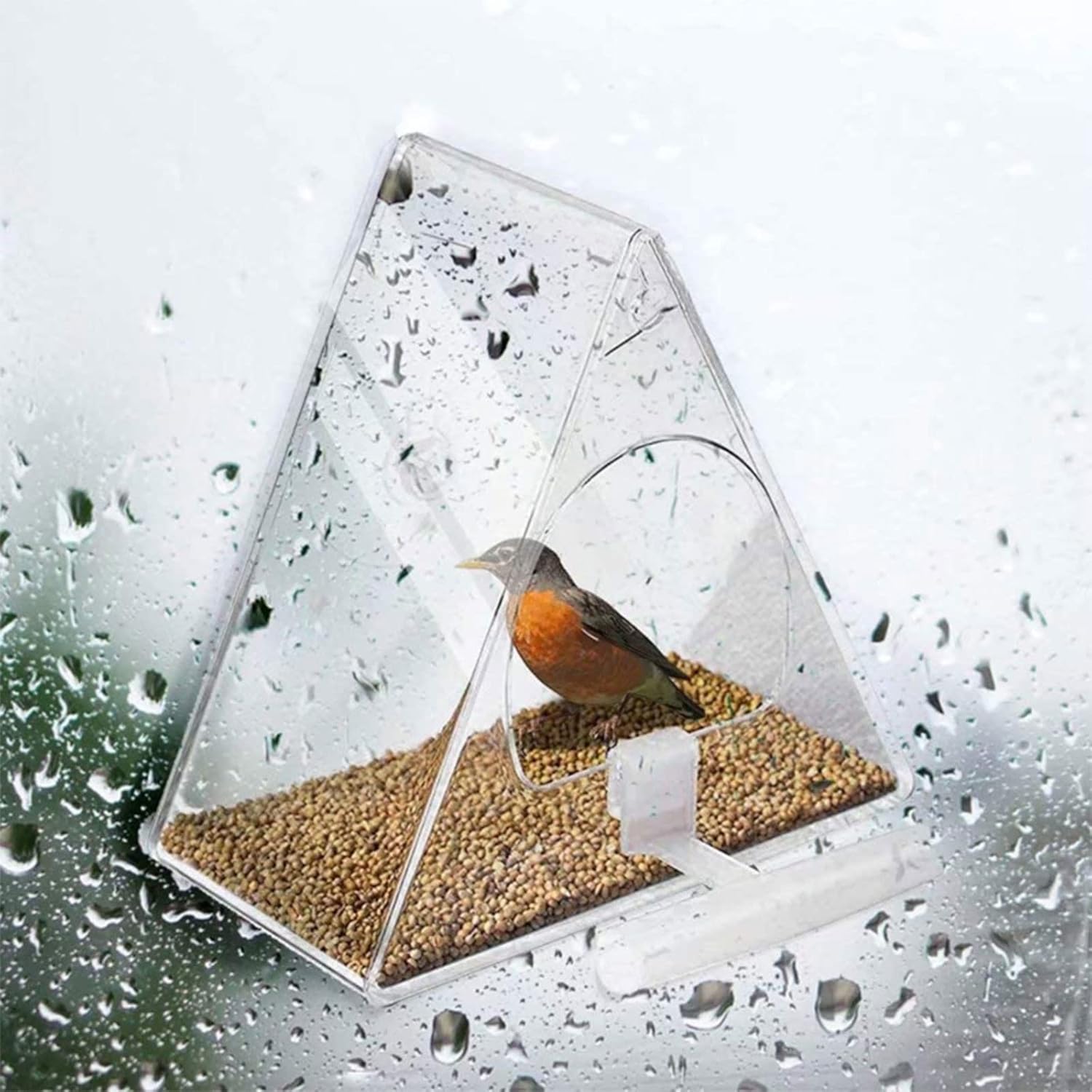 Clear Acrylic Bird Feeder Window Mount with Strong Suction Cup Food Bo