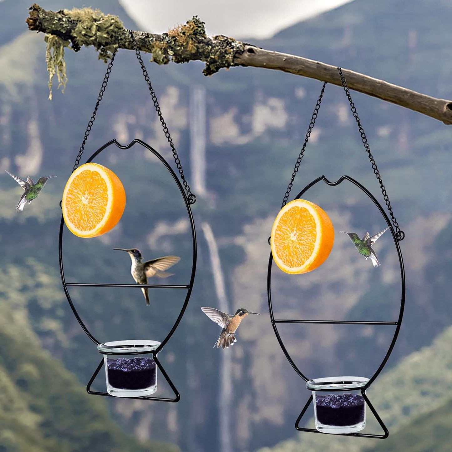 Prsildan 2 Pcs Oriole Bird Feeders, Outdoor Bird Feeder with Orange Fruit Holder and Grape Jelly Grass, Outside Hanging Feeders for Baltimore Oriole Garden Yard
