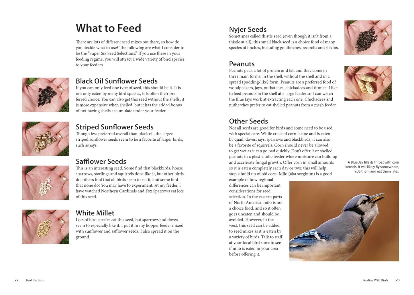 Feed the Birds: Attract and Identify 196 Common North American Birds