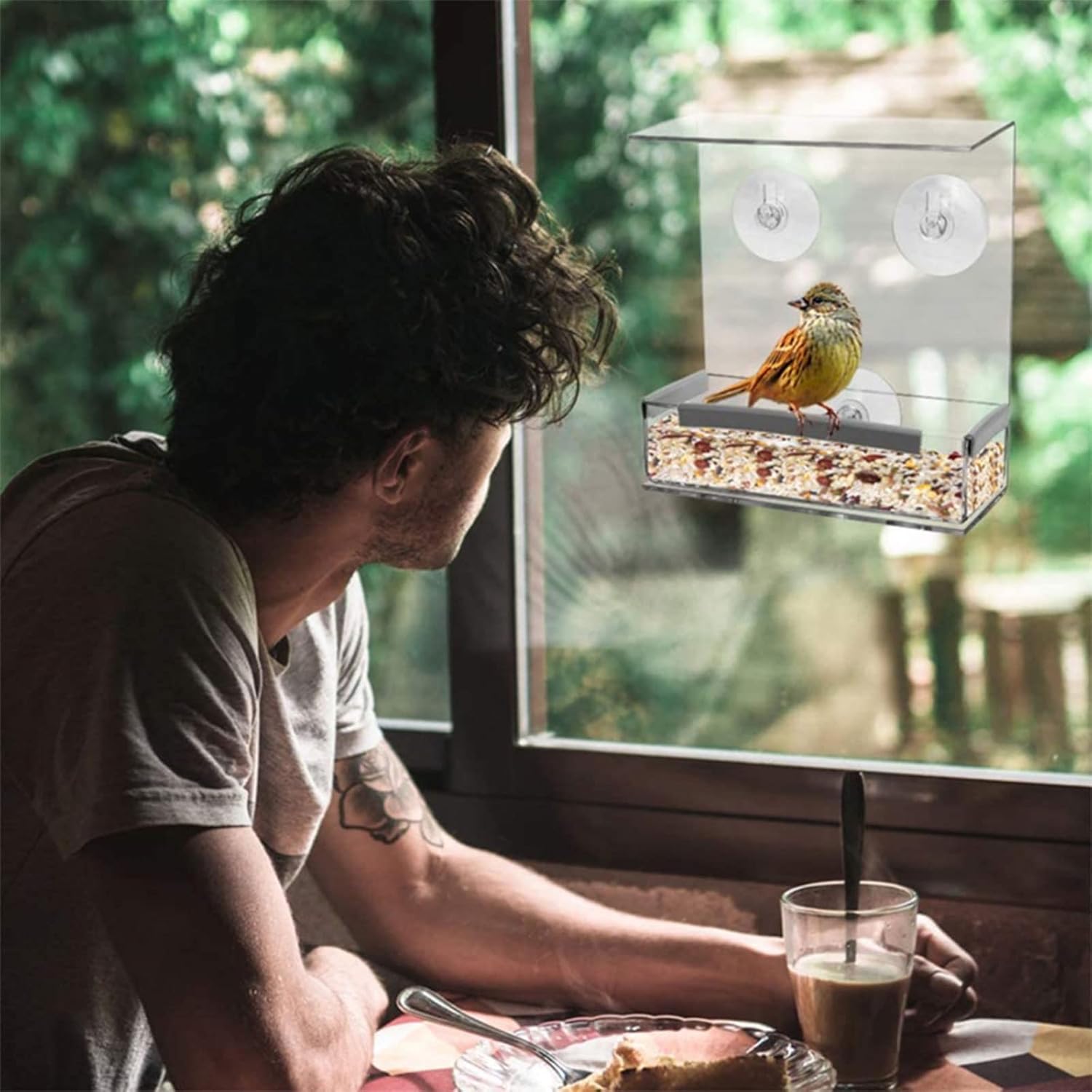 Pet Bird Food Dispenser Parrots Feeder Clear Tray Bird Food Container 
