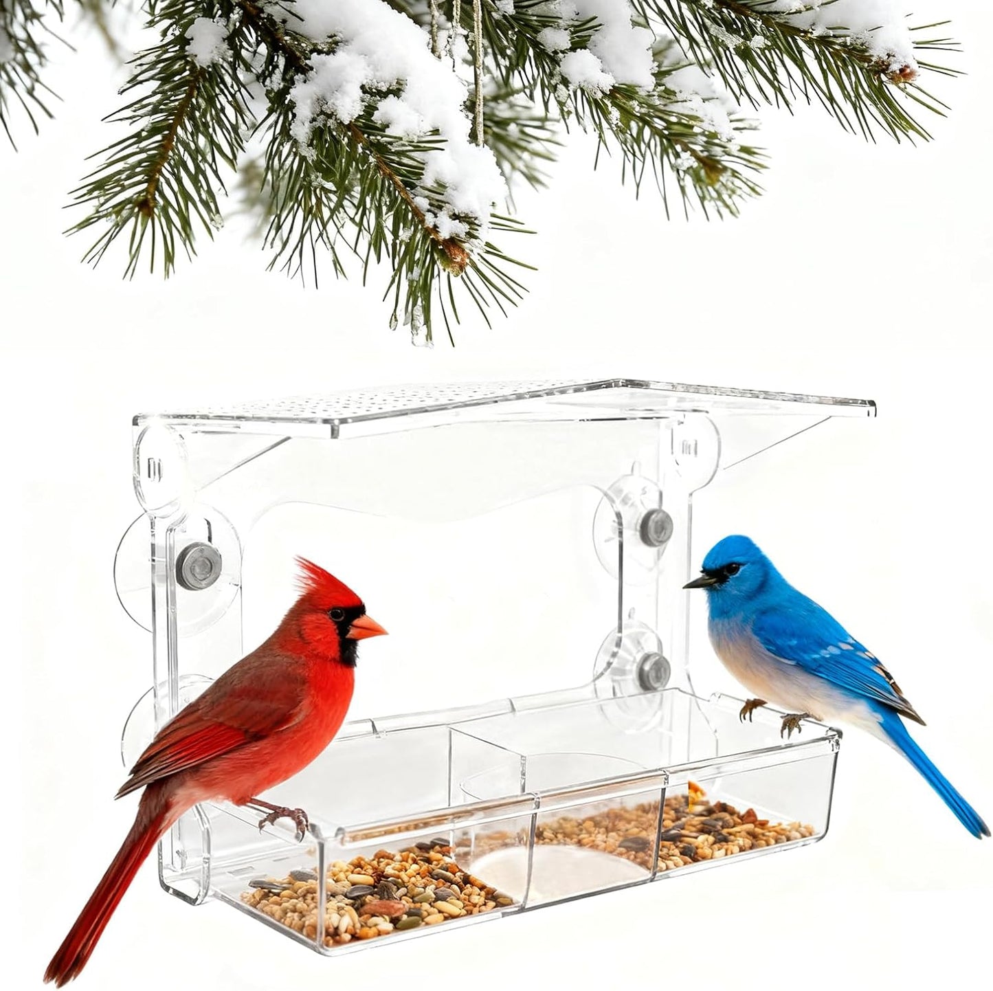 Clear Window Bird Feeder with 5 Extra Strong Suction Cups, Acrylic Wildlife Seed Feeder， as an Outdoor Transparent Bird Watching Gift, Easy-to-Clean, Garden Decor，Middle Size