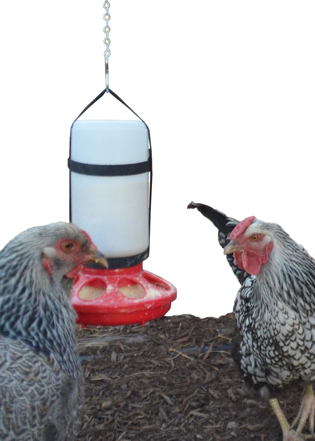 1 Qt. Hanging Harness with Plastic Bottle and Feeder Base