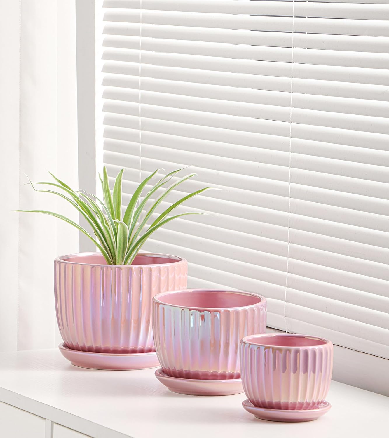 Ton Sin Pink Gold Ceramic Flower Pots, 4"+5"+6" Inch Small Glazed Succ