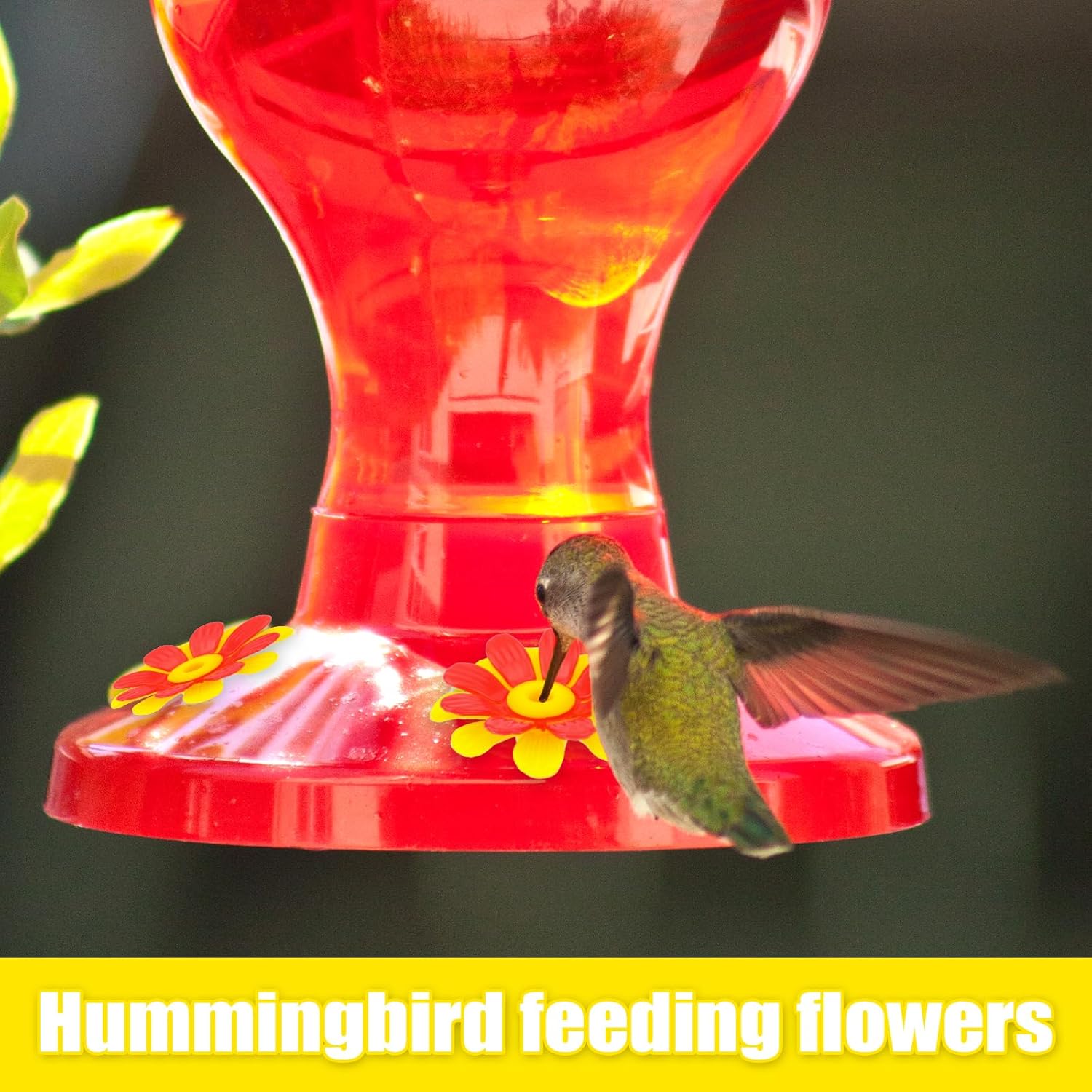 20pc Hummingbird Feeder Flowers & Cleaning Brushes - Hanging Hummingbi
