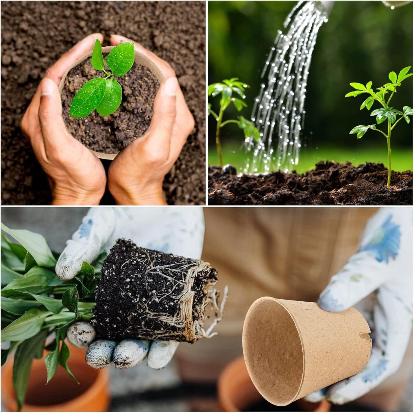 60-Pack 4” Biodegradable Peat Pots with 60 Plant Labels - Eco-Friendly