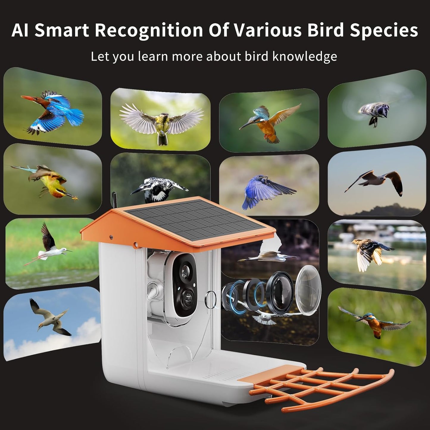 Smart Solar Bird Feeder with Camera,2K HD AI Identifies 11,000+ Birds,Solar Powered Wireless Outdoor Camera with Instant Alerts & Auto Capture - Perfect Backyard Bird Watching Gift