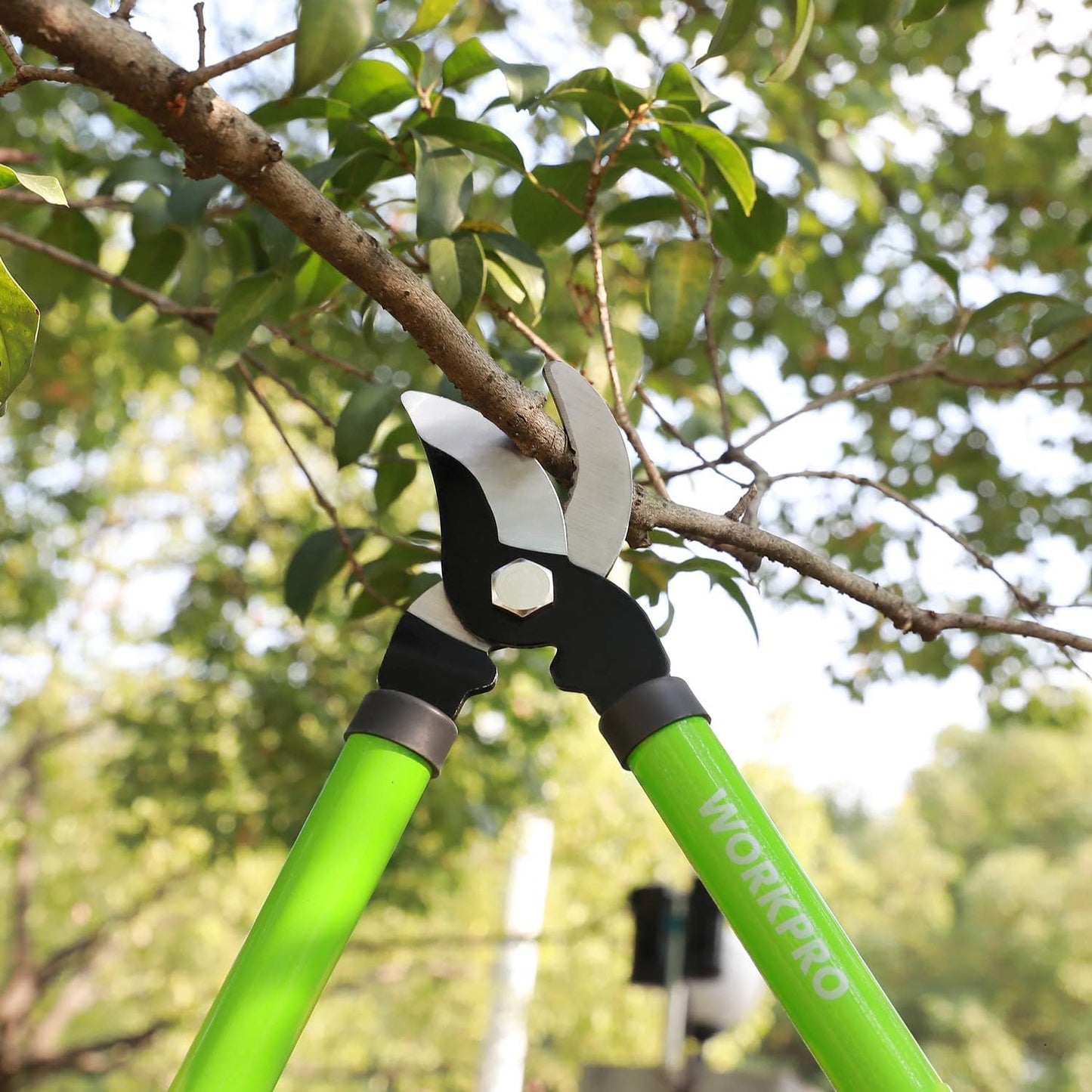 WORKPRO W151010 Limb and Branch Pruner Tool Set, Heat-Treated Steel (1