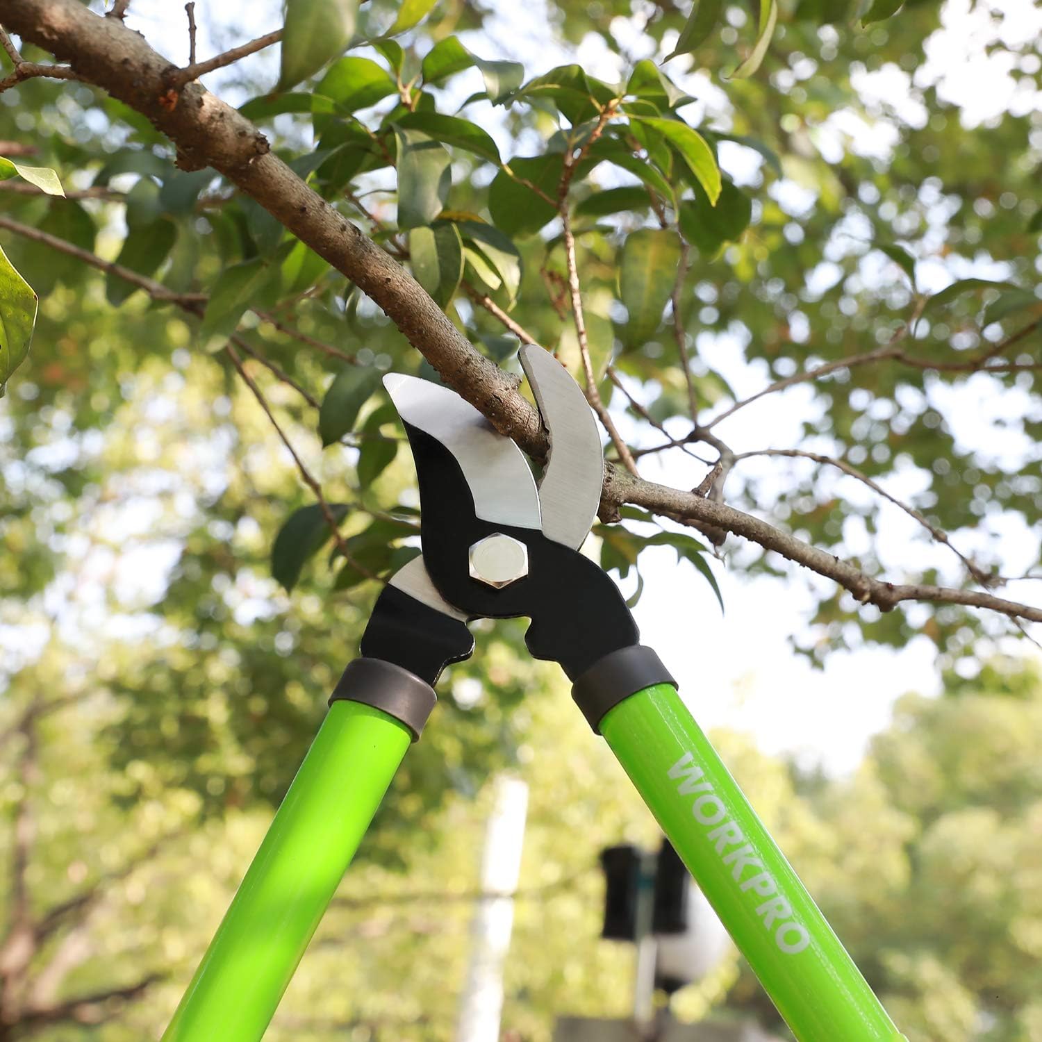 WORKPRO W151010 Limb and Branch Pruner Tool Set, Heat-Treated Steel (1
