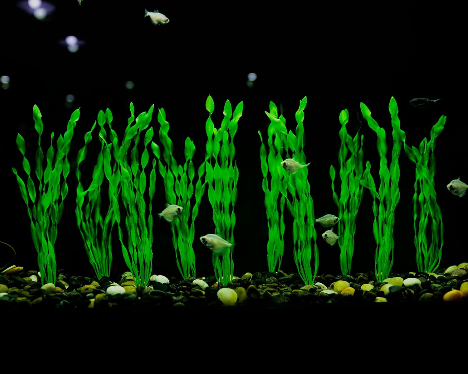 MyLifeUNIT Artificial Seaweed Water Plants for Aquarium, Plastic Fish 