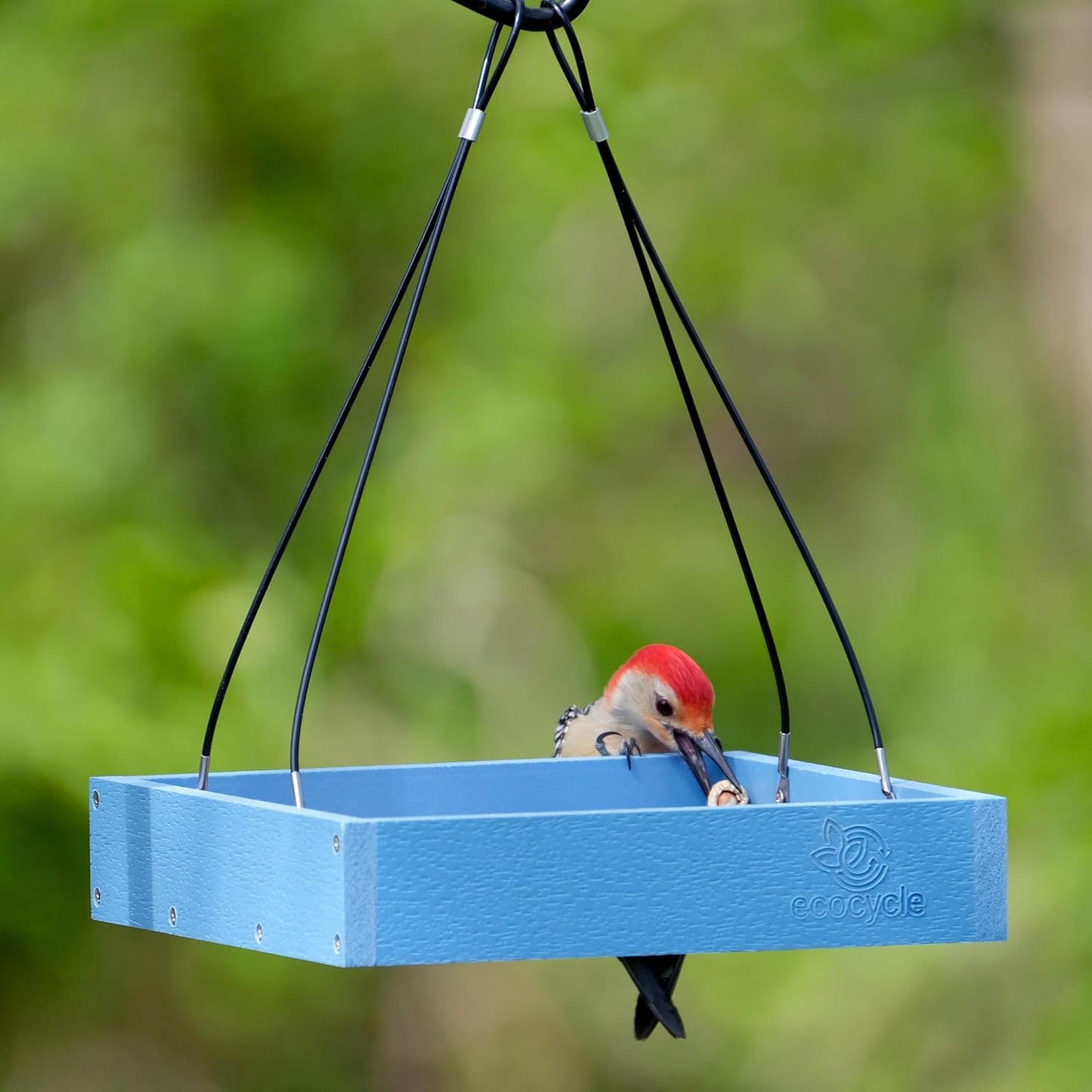 Perfect Picnic Recycled Plastic Bird Feeder with Fresh Seed Tray for Wild Birds and Outdoor Décor, Hanging Tray Feeder, 1.5 Quart Capacity, Blue