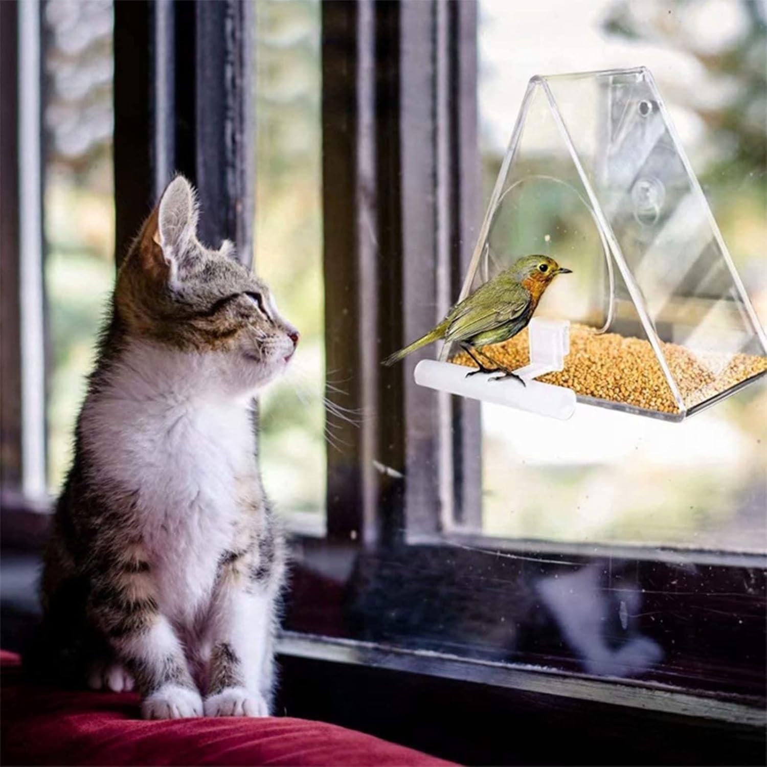 Clear Acrylic Bird Feeder Window Mount with Strong Suction Cup Food Bo