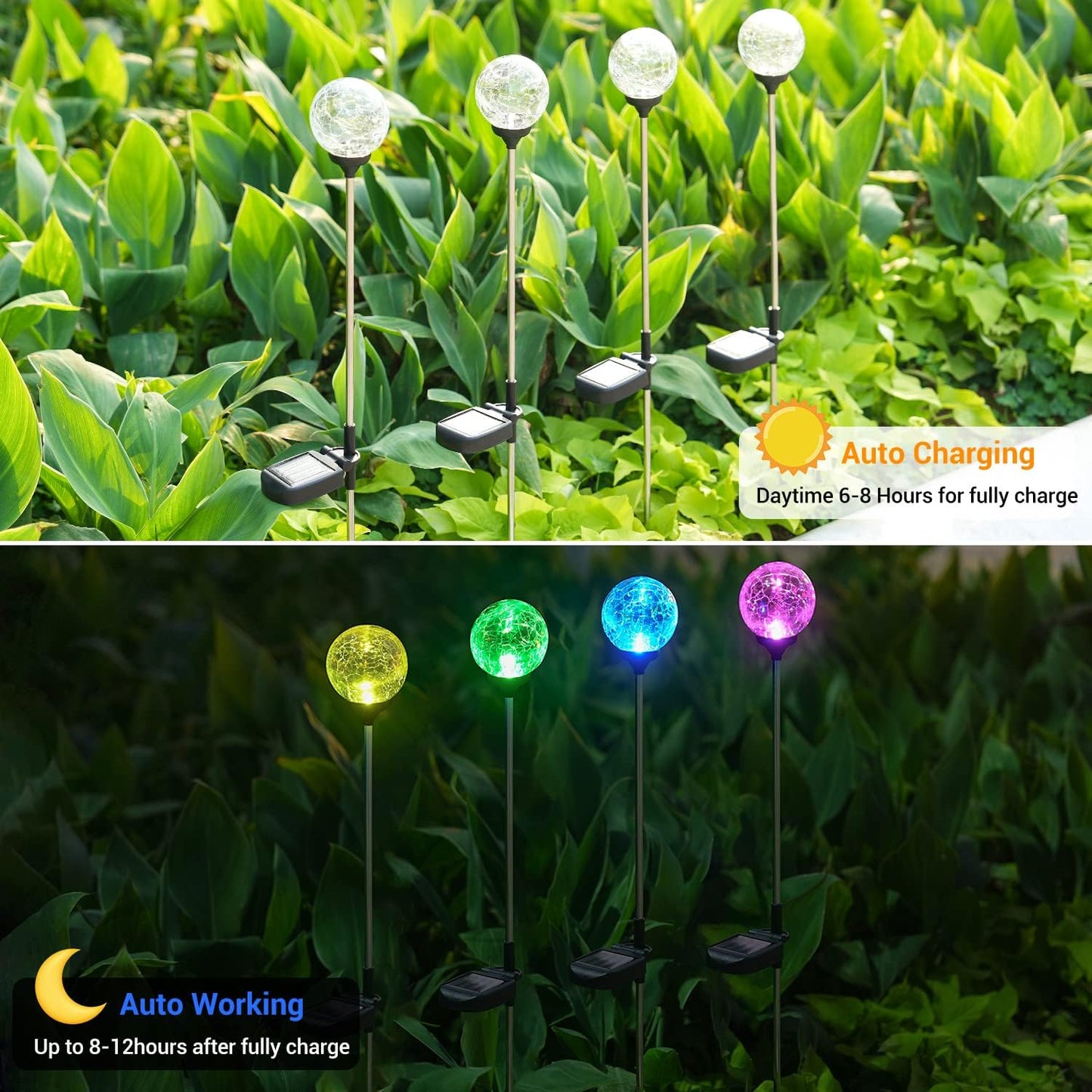 OxyLED Solar Globe Lights Outdoor 4 Pack Garden Stake Lights Waterproo