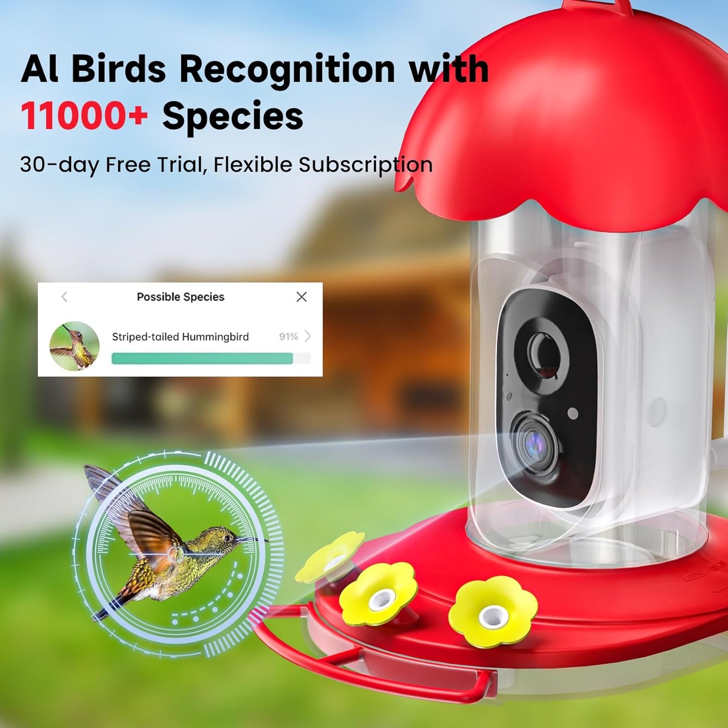 Hummingbird Feeder with Camera Solar Powered, Hummingbird Feeders for Outdoors with 2K Bird Watching Camera, Ideal Gifts for Christmas, White Elephant Gifts