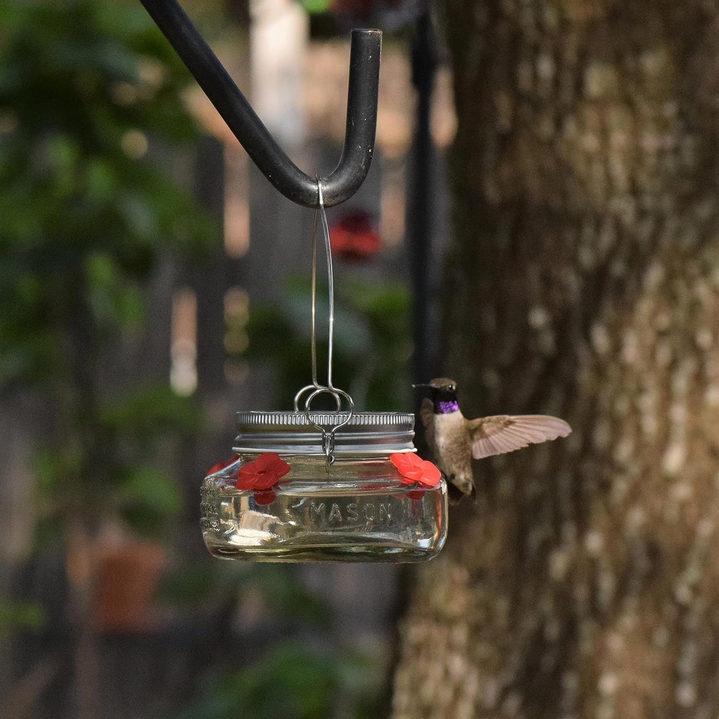 Nature's Way Bird Products MJF1 Nature's Way Mason Jar Hummingbird Dis
