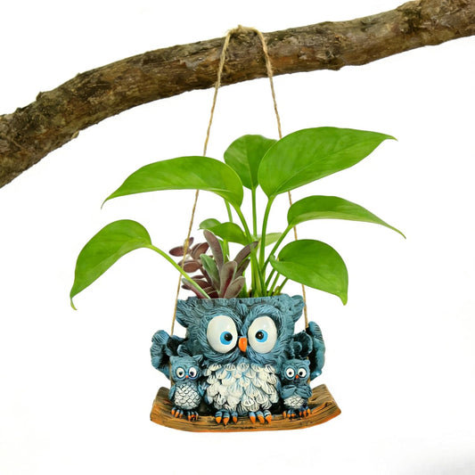 Owl Swing Hanging Planter, Planters for Indoor Plants, Cute Small Succulent Pots, Hanging Plant Holder for String of Pearls, Small Hanging Plant Holder for Garden, Patio, Balcony