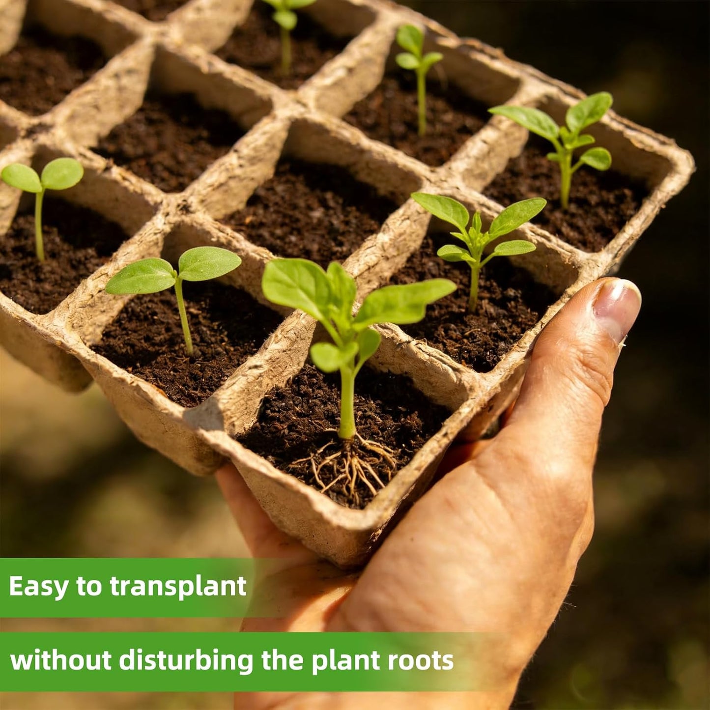 Seed Starter Tray - 300 Cells Biodegradable Peat Pots for Seedlings, 2