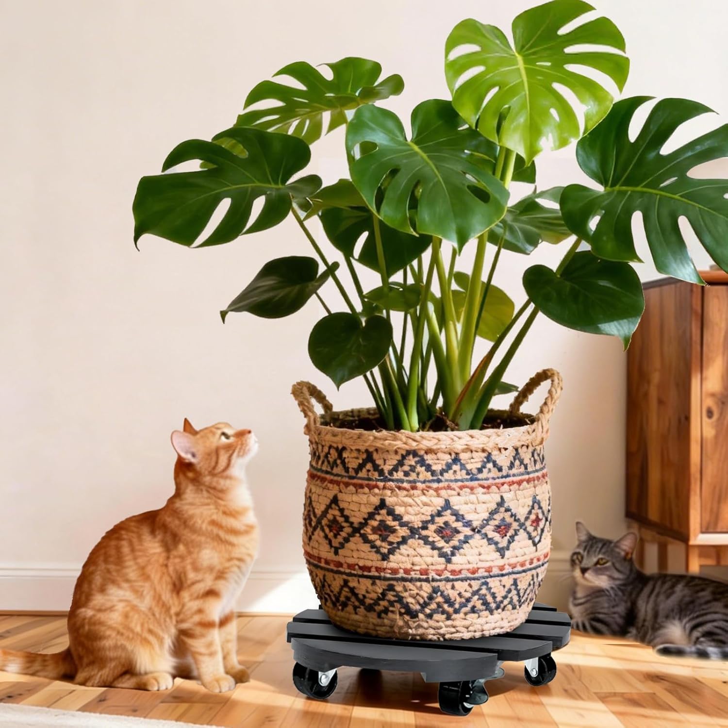 2 Pack Plant Stand with Wheels, Plant Caddies with 360° Lockable Smoot