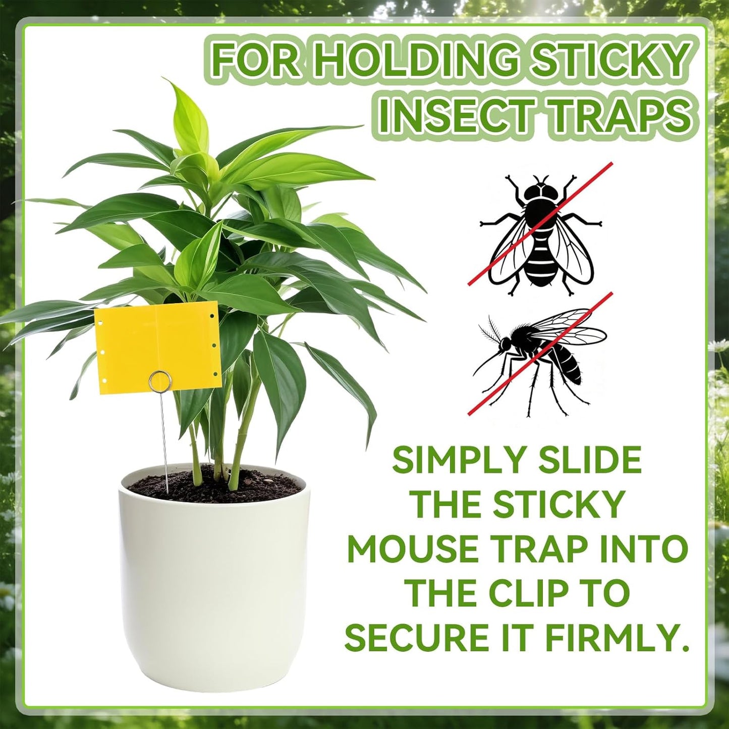 50 Pcs 12 Inch Dual-Sided Yellow Fruit Fly Traps Kit Includes 25 Stick