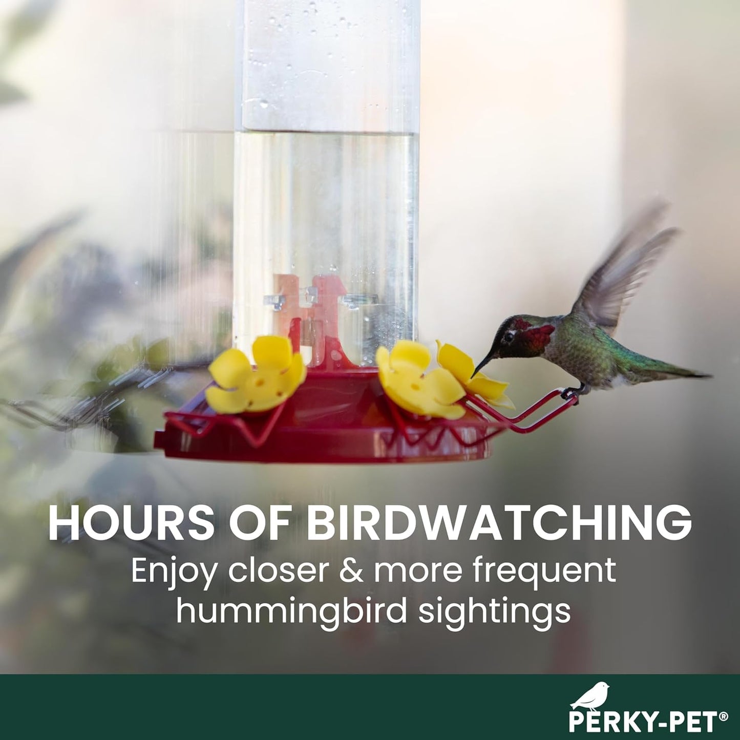 Perky-Pet Plastic Window Mount Hummingbird Feeder with Perches - 8 oz 