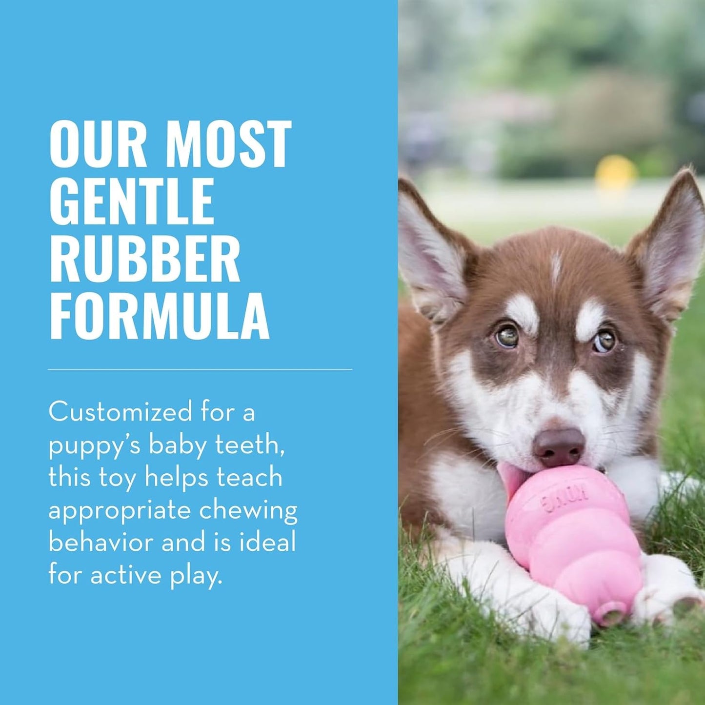 KONG Puppy - Natural Teething Rubber Chew Toy for Dogs - Stuffable Dog