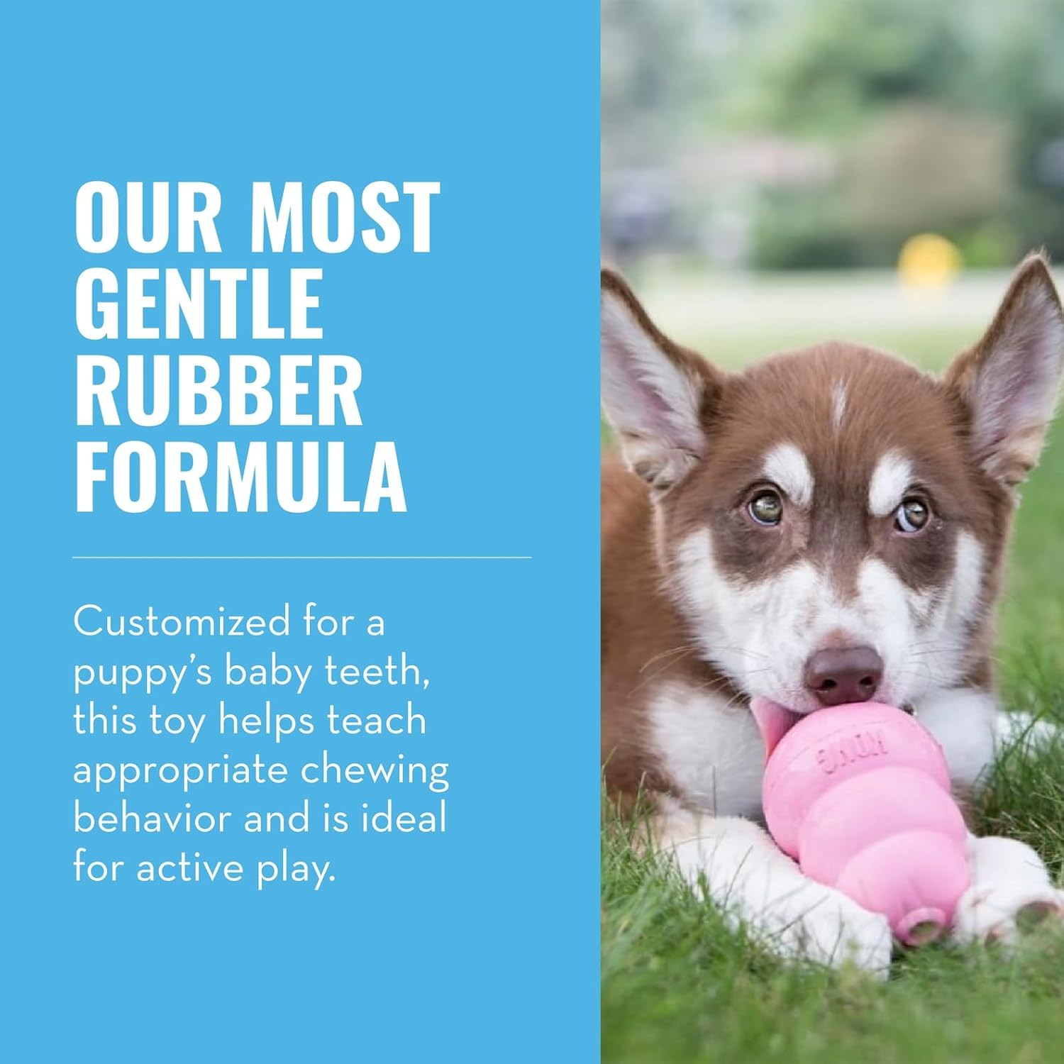 KONG Puppy - Natural Teething Rubber Chew Toy for Dogs - Stuffable Dog