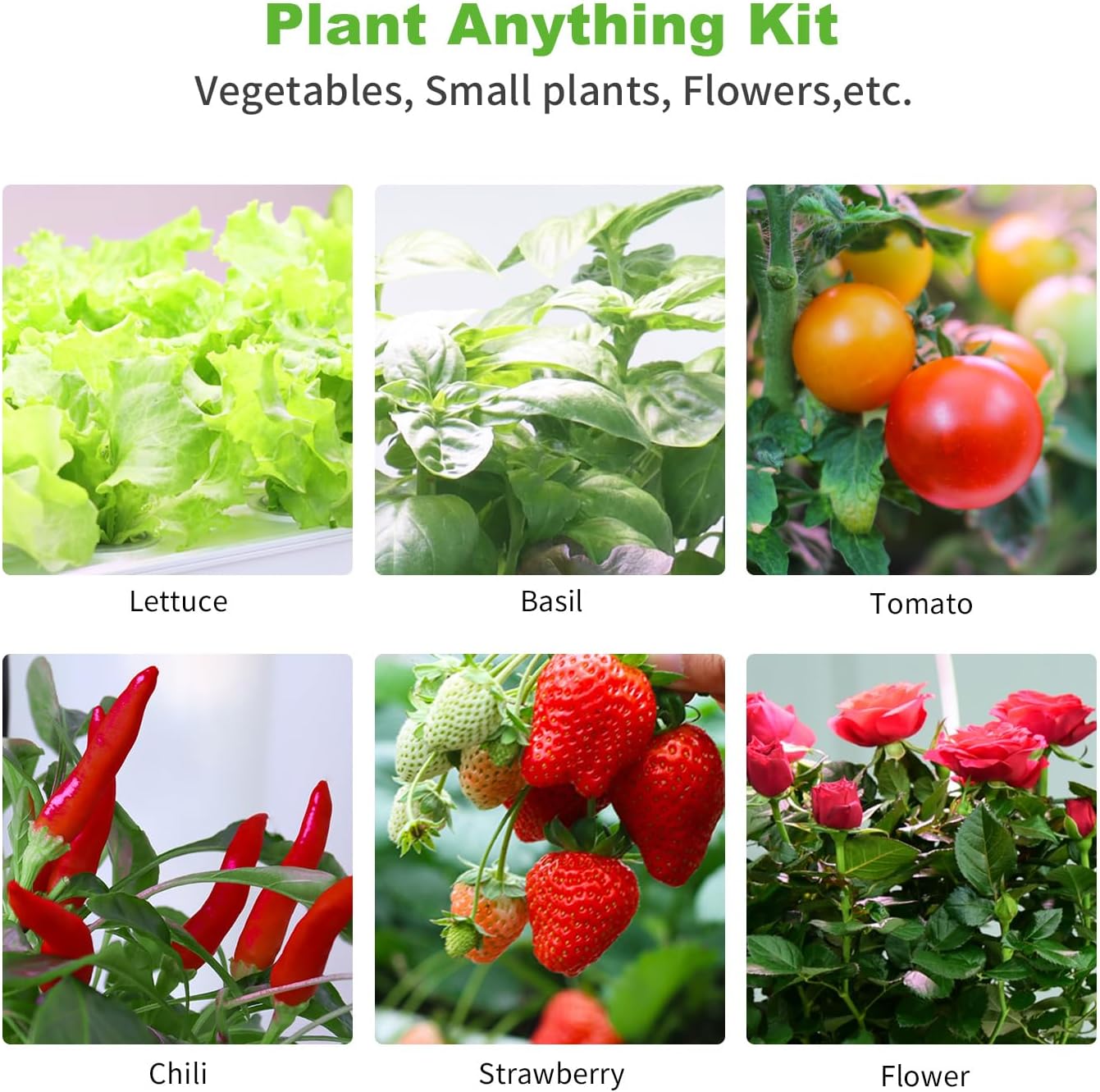 50 Pack Hydroponic Grow Baskets with 51PCS Seed Pod Labels Stickers, R