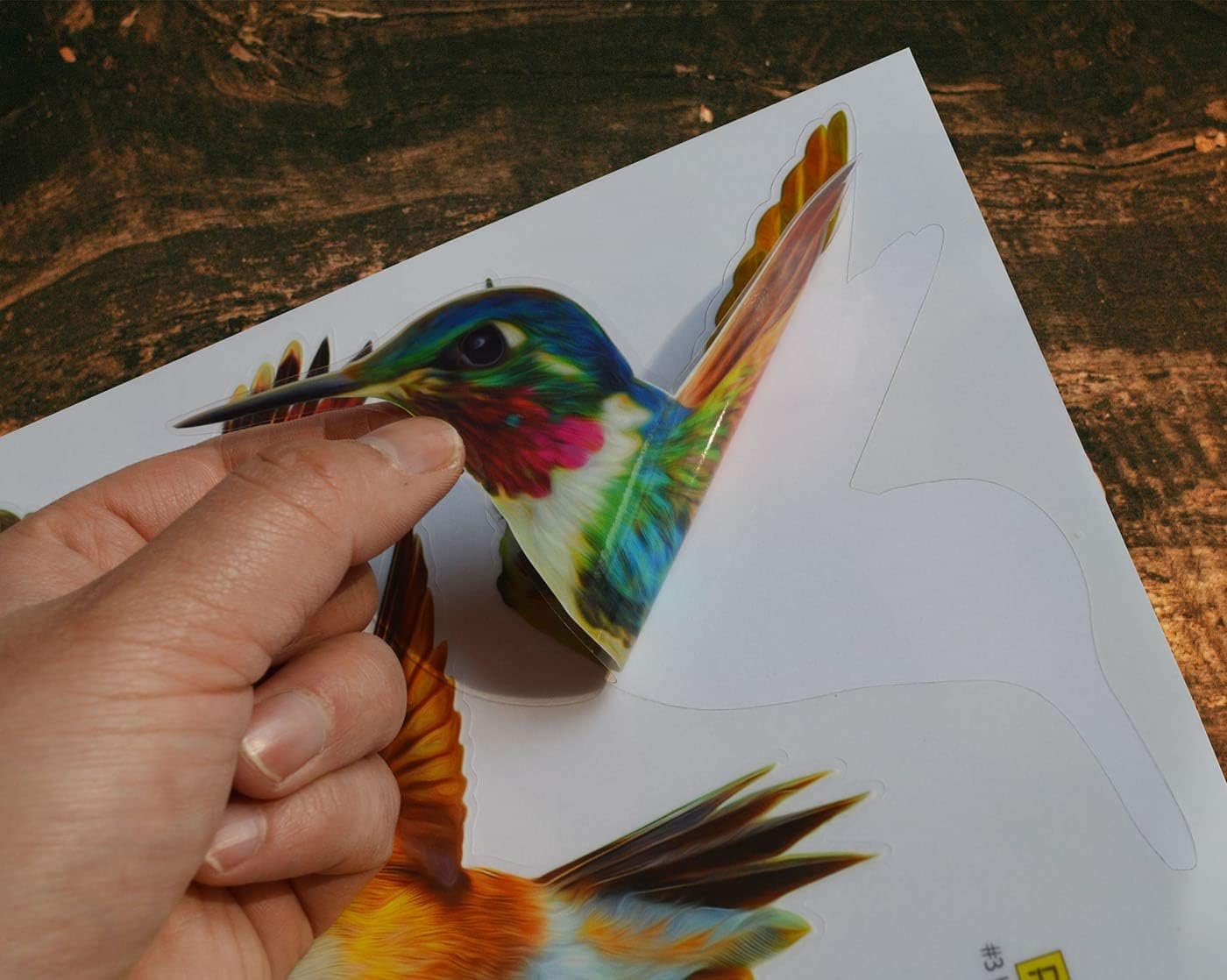 Anti-Collision Window Clings Bird Alert Collision Decals to Prevent Bird Strikes on Window Glass - Set of 12 Hummingbirds