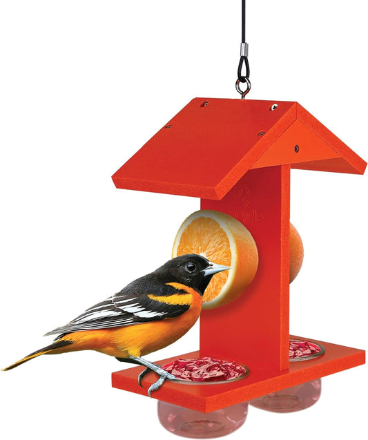 Citrus Sampler Recycled Plastic Orange & Jelly Oriole Bird Feeder for Wild Birds and Outdoor Décor, Dual-Sided Feeding & 2 Removable Glass Dishes & Fruit Spikes, 0.4 Quart Capacity, Orange