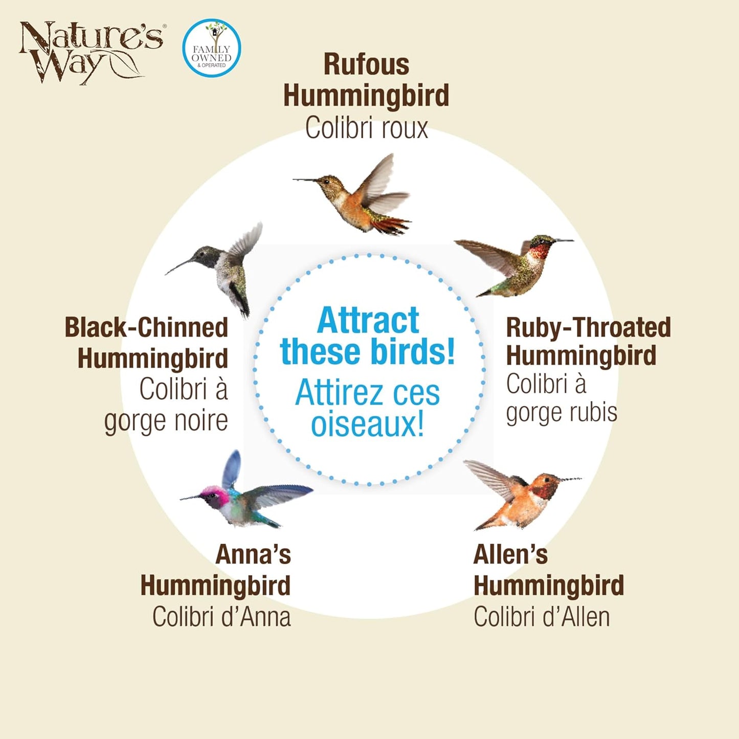 Nature's Way Bird Products ANTHF2-I Illuminated Antique Top-Fill Hummingbird Feeder, Light Blue/Pink