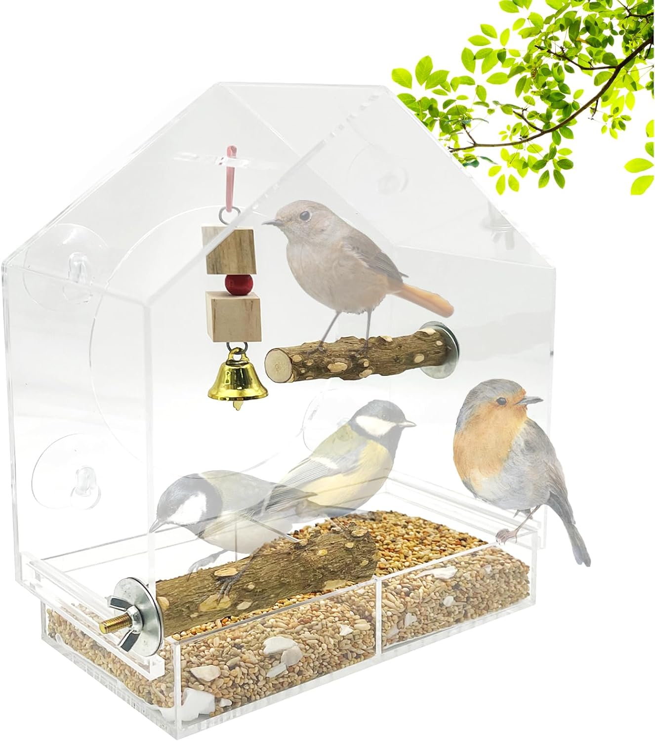 SNAIL GARDEN 9" Large Window Bird Feeder with 1pcs Nibbling Wood Strin