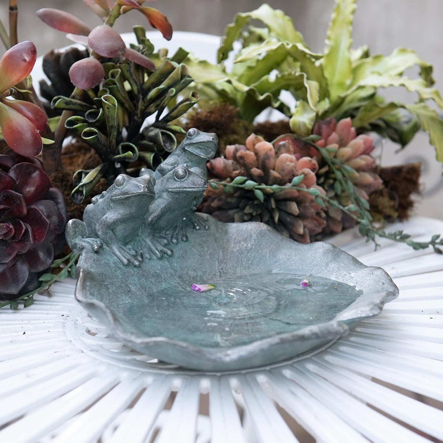 Wild Bird Feeder Birdbath Bowl - Garden Decorations Hummingbird Feeder