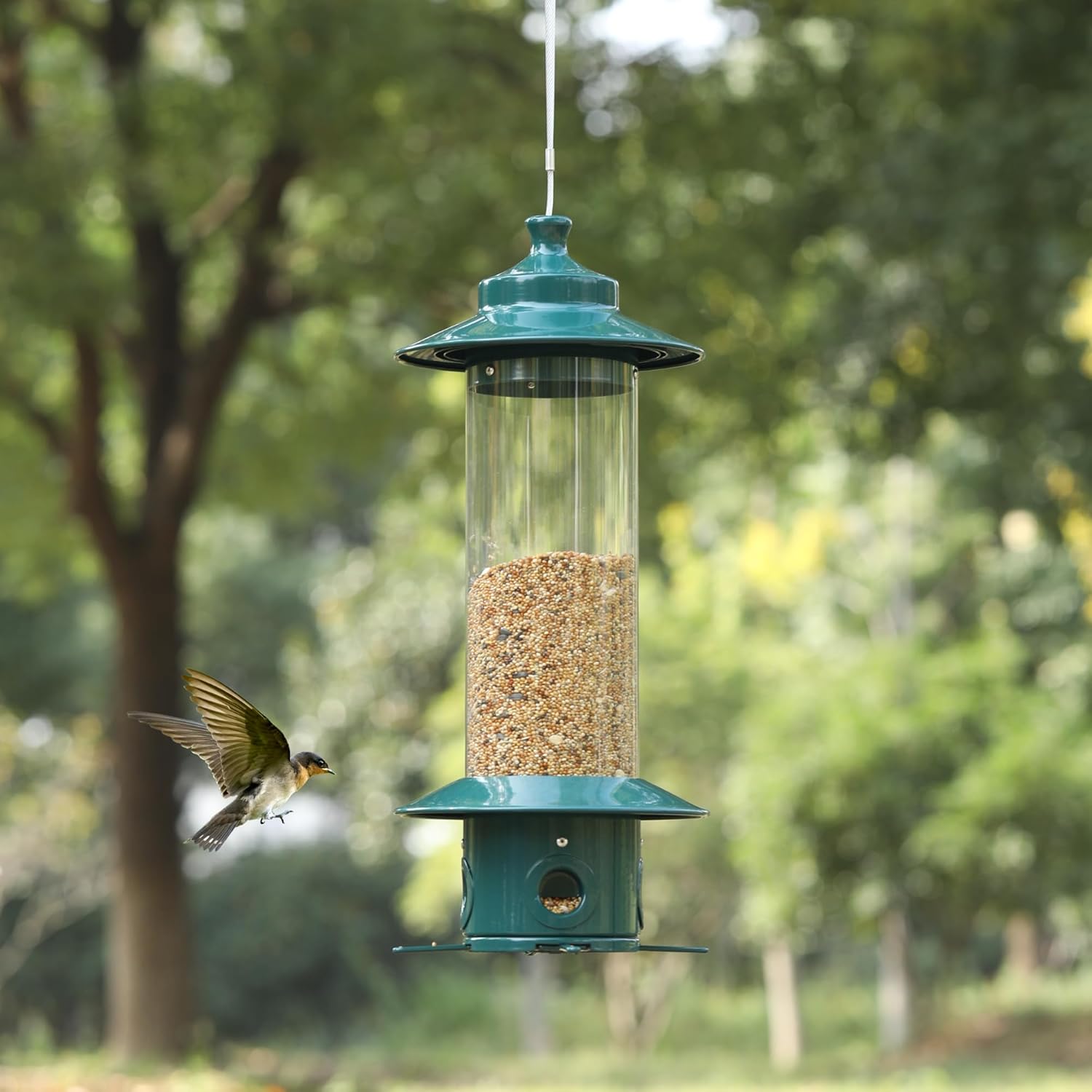 Squirrel Proof Bird Feeders, Heavy Duty Metal Wild Bird Feeders, Bird 