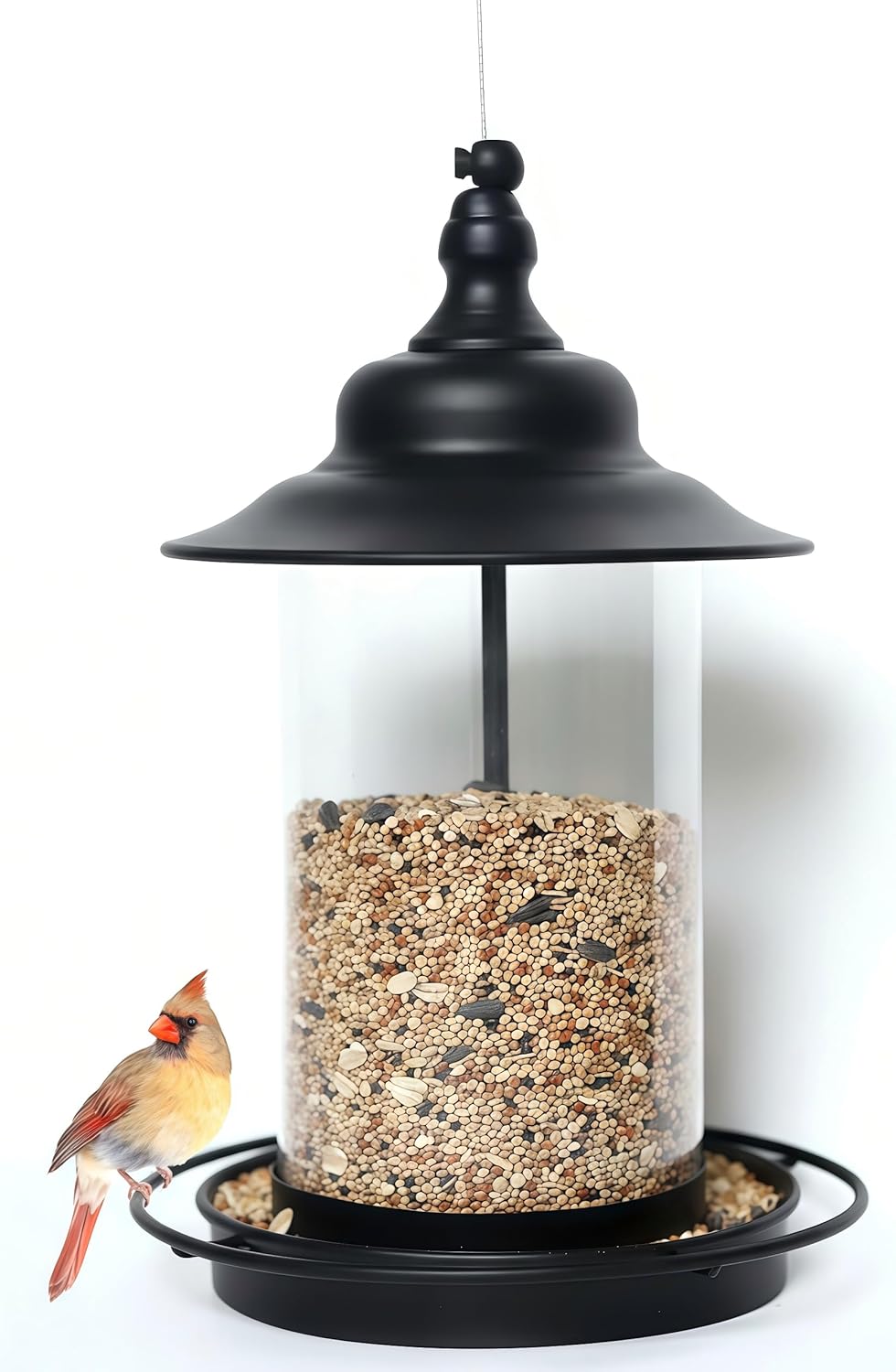 Bird Feeders for Outdoors,Hanging Bird Feeder with Locking Lid, Metal 