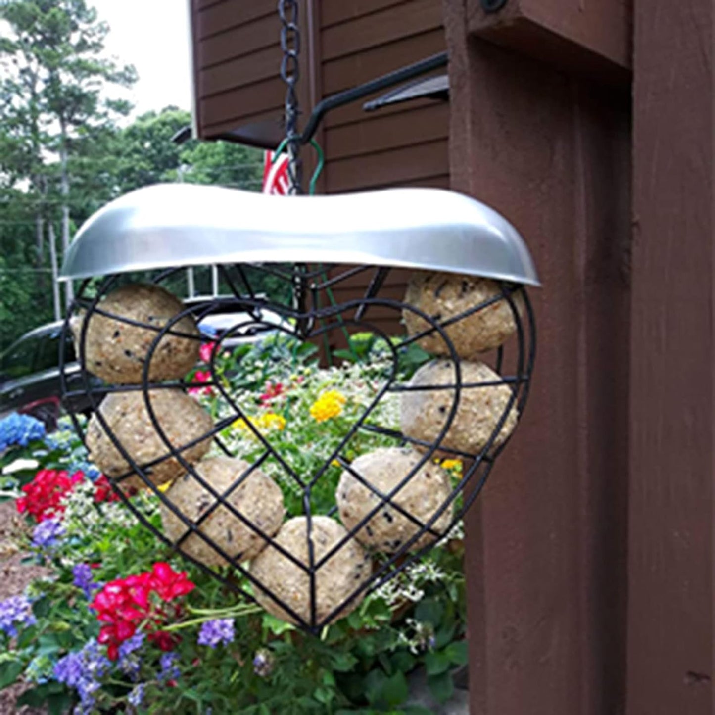 Hanging Feeder for Wild Birds Feeder Basket for Lovebirds Finches Canaries- Wild Bird Feeding Food Dispenser Storage