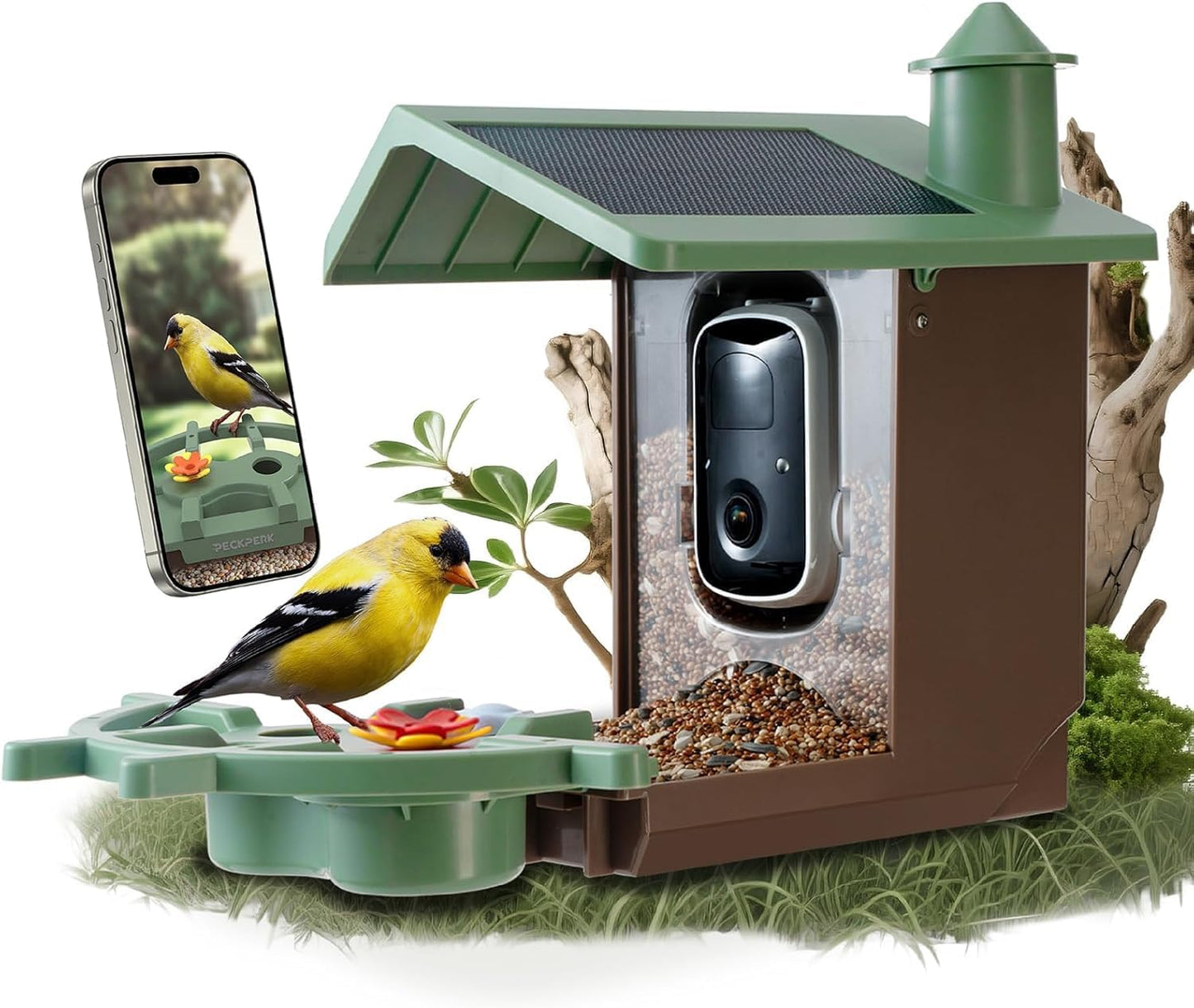 Smart Bird Feeder with Camera Solar Powered Outdoor - 2K HD Live Video